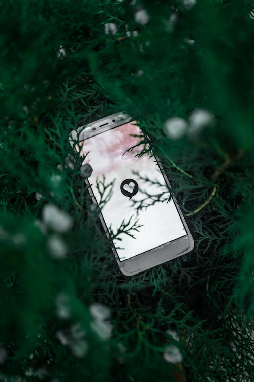 Free Photo of Mobile Phone On Leaves Stock Photo