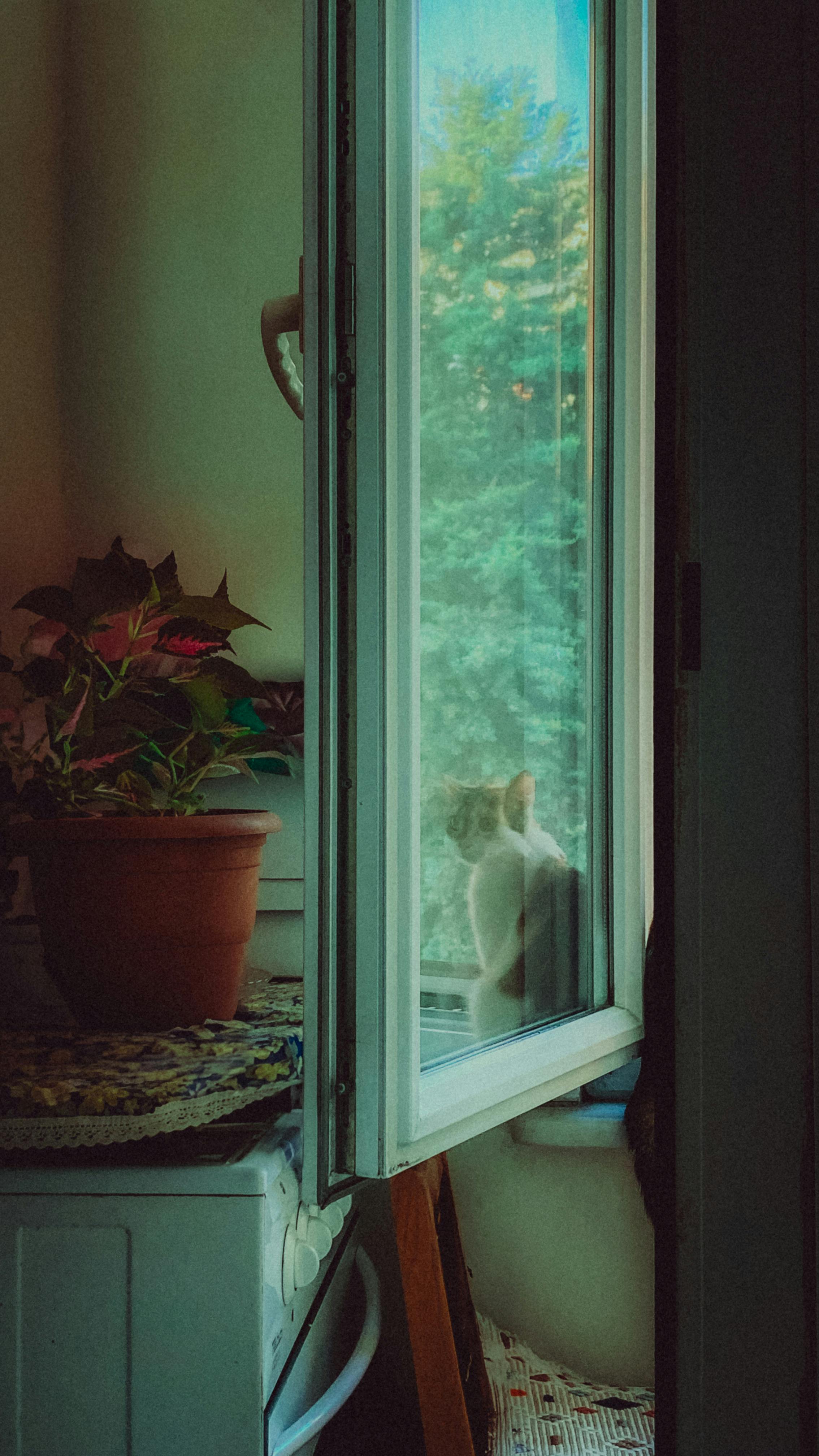 Gratis Immagine gratuita di #interno, a riposo, accogliente Foto a disposizione