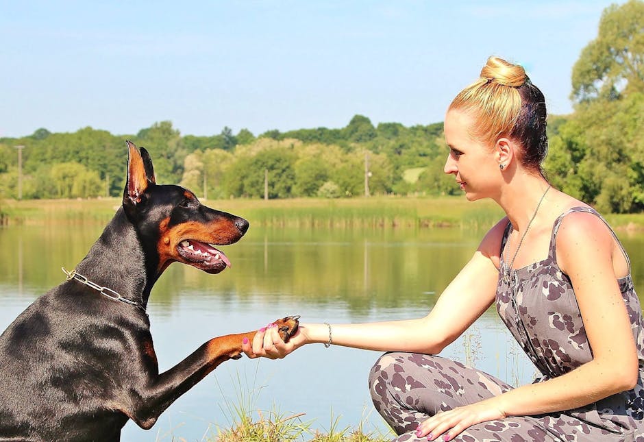 Woman Holding Doberman Pinscher's Right Foot Close-up Photo