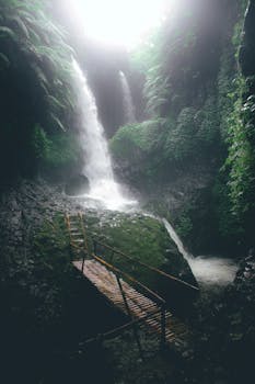 Image by firman fatthul