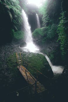 Image by firman fatthul