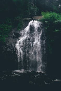 Image by firman fatthul