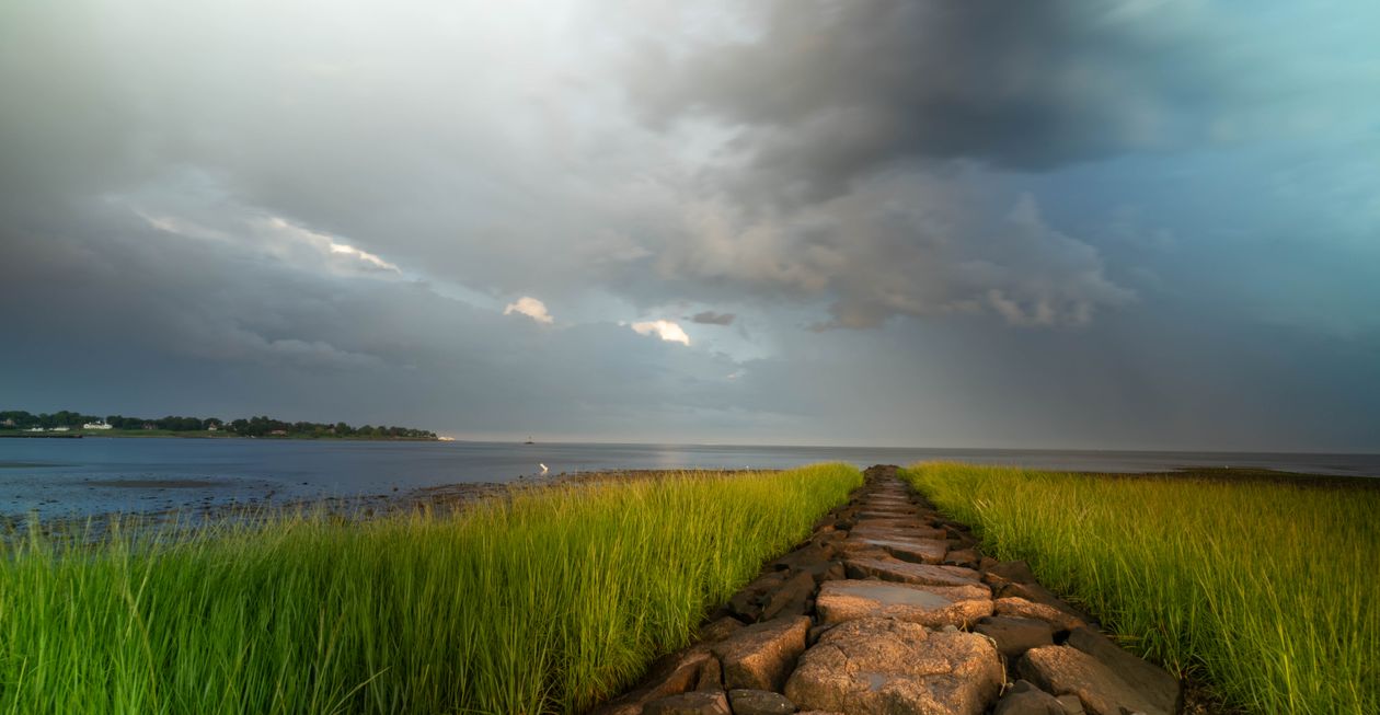 A path leading to the water with grass and rocks · Free Stock Photo