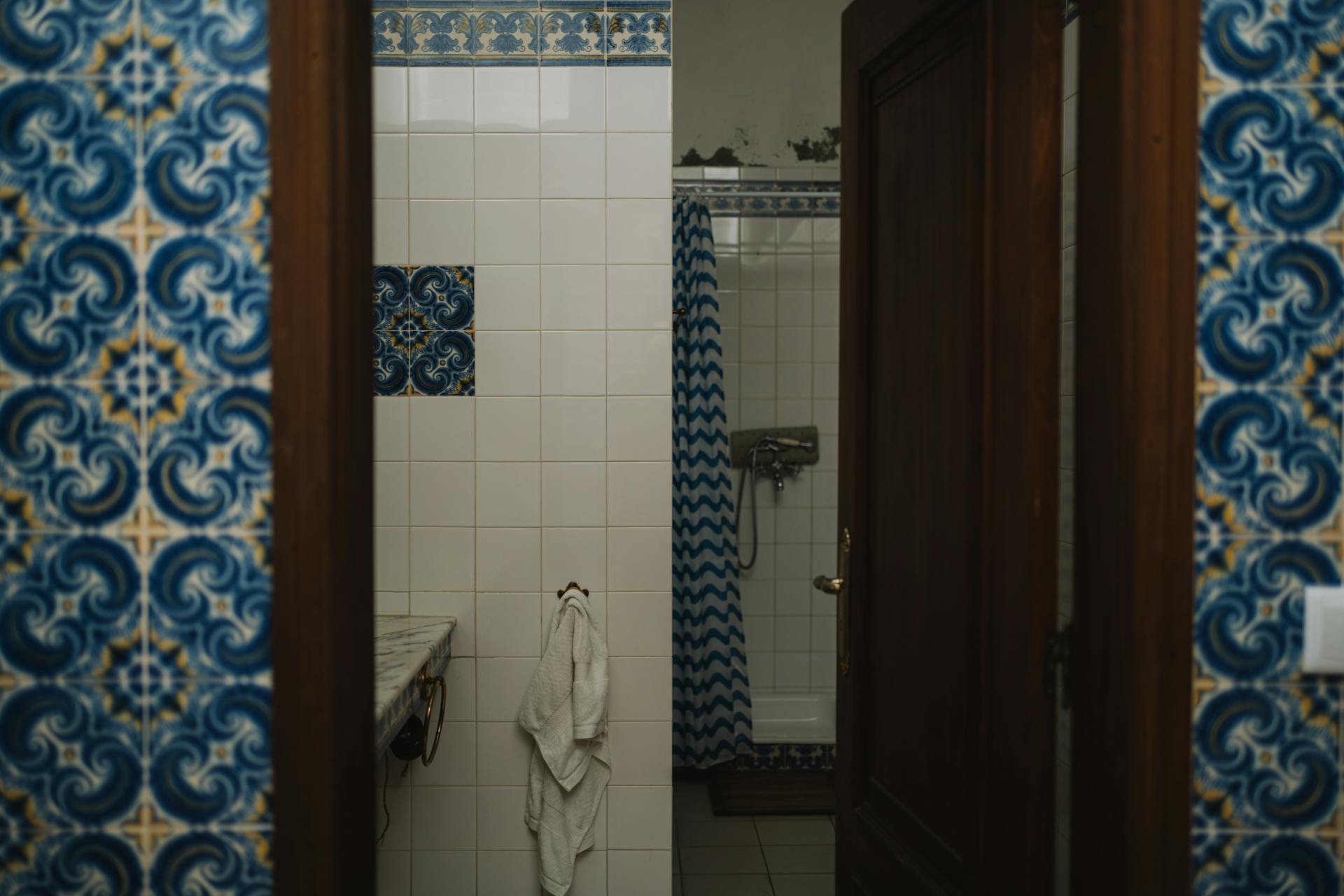 A bathroom with blue and white tiles and a door