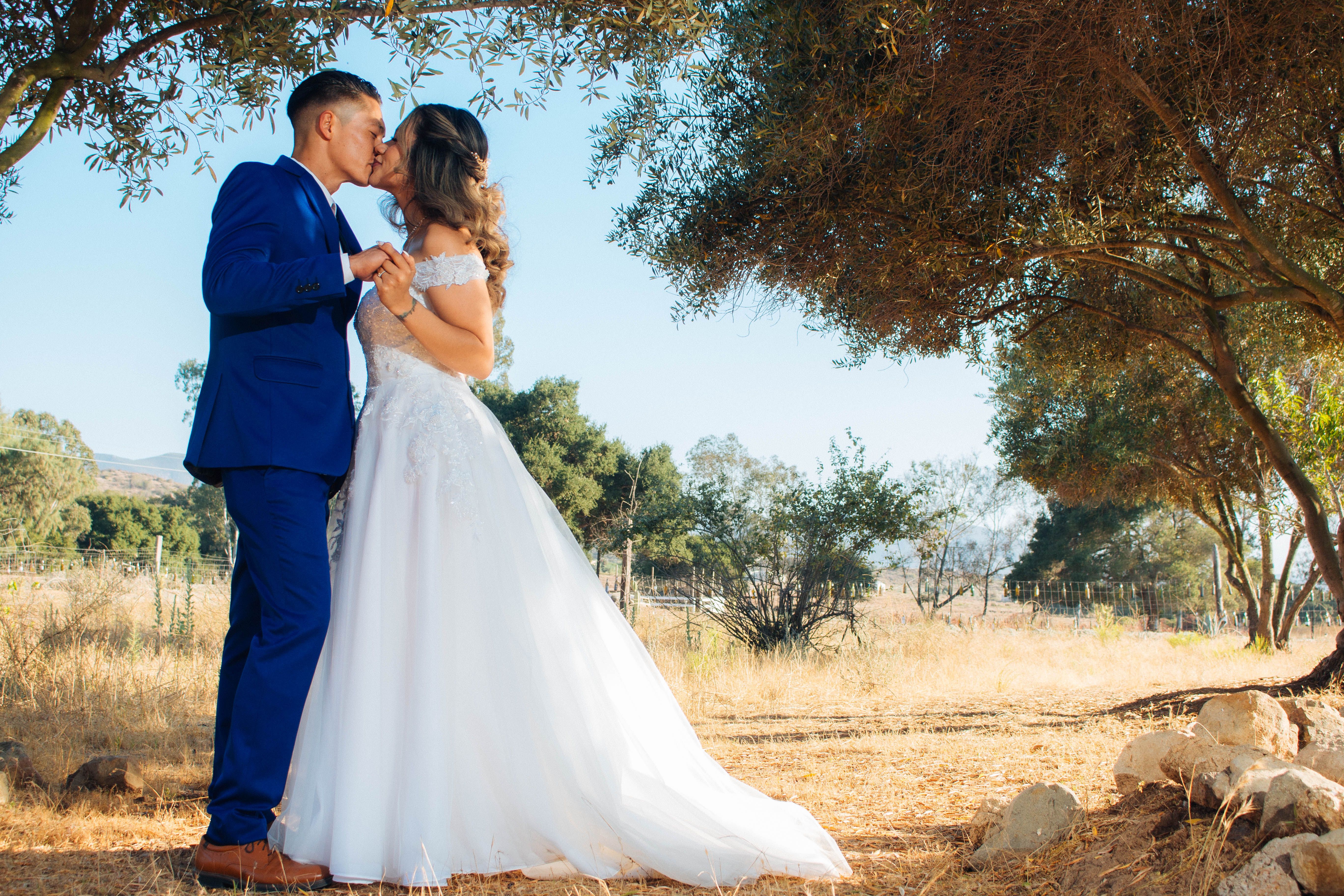 A bride and groom kiss in front of trees · Free Stock Photo