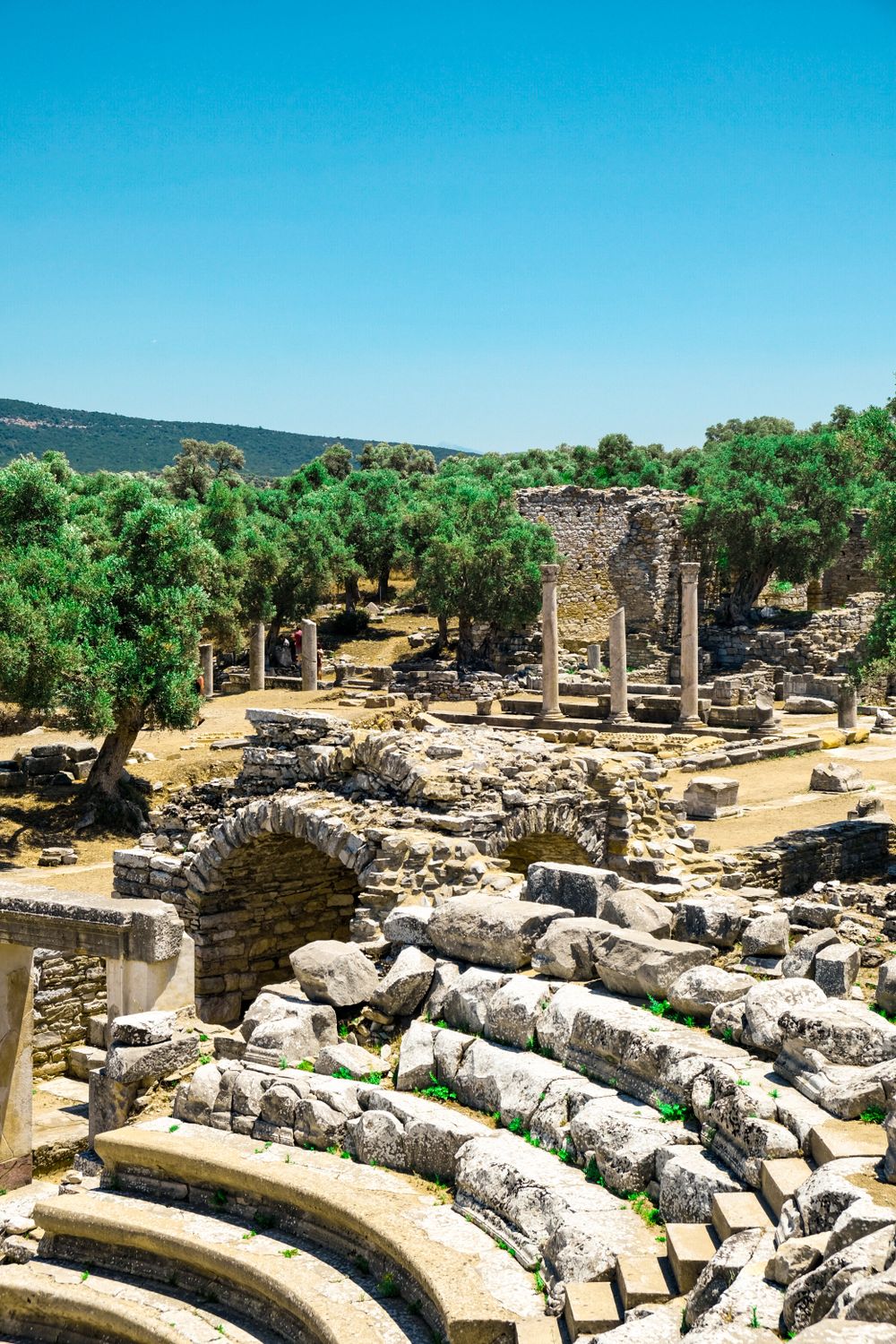 The ruins of an ancient roman theatre in the middle of a forest · Free ...