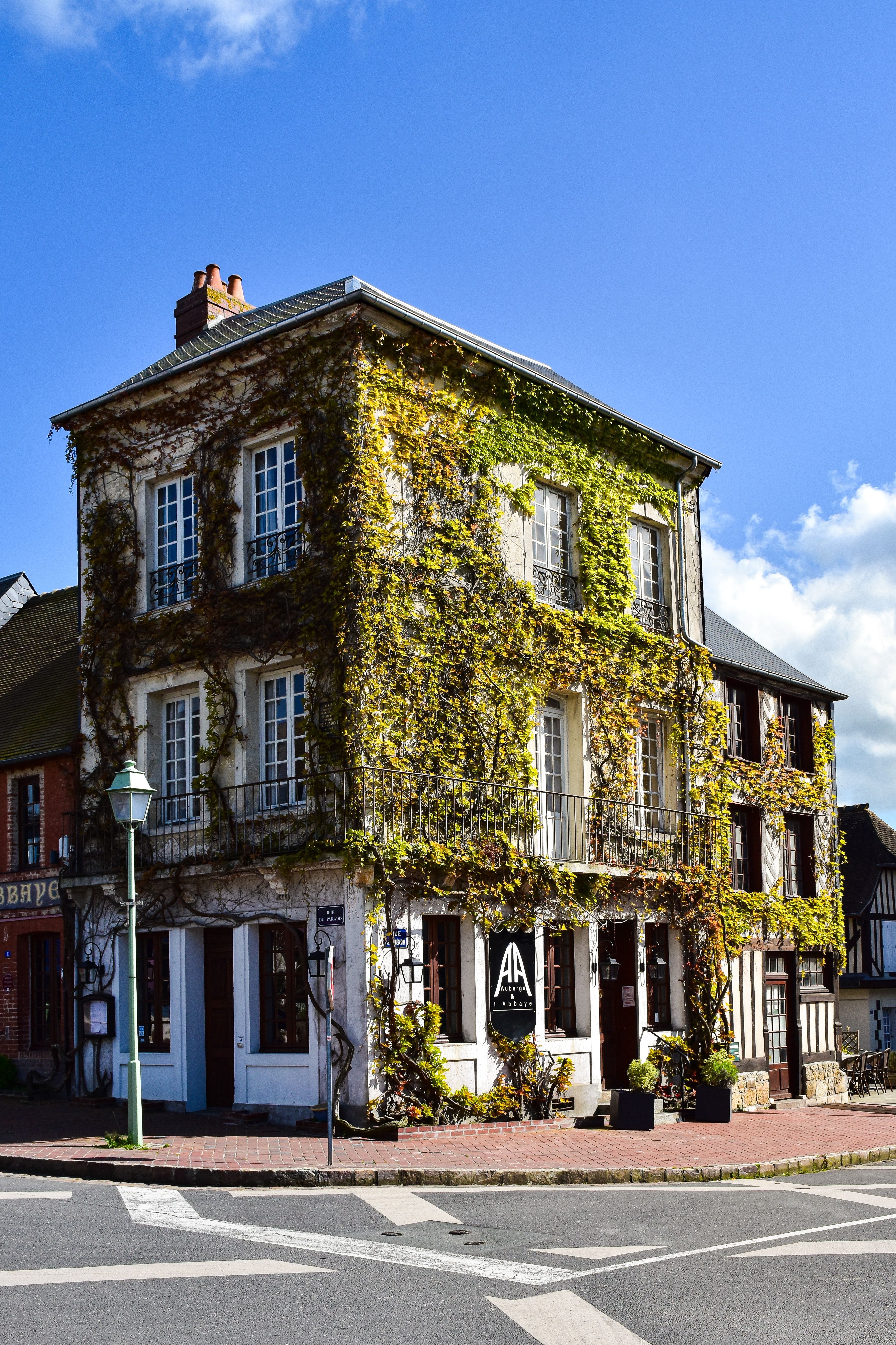 Ivy-clad building on a sunny street in Honfleur, Normandy, France.