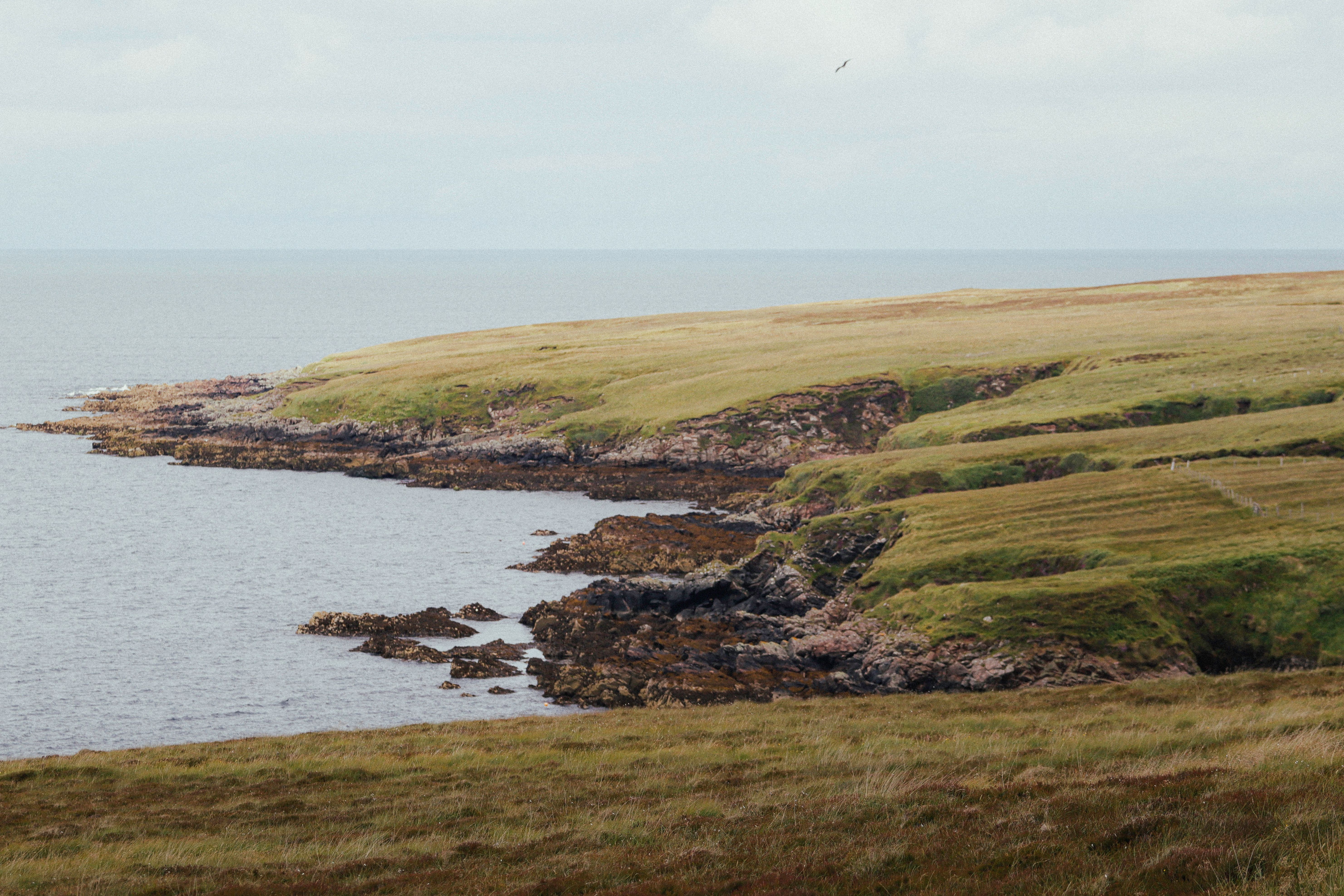 Beautiful grassy cliffs overlooking a calm ocean under a cloudy sky, perfect for travel inspiration.