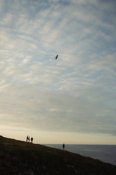 A bird flying over the ocean at sunset