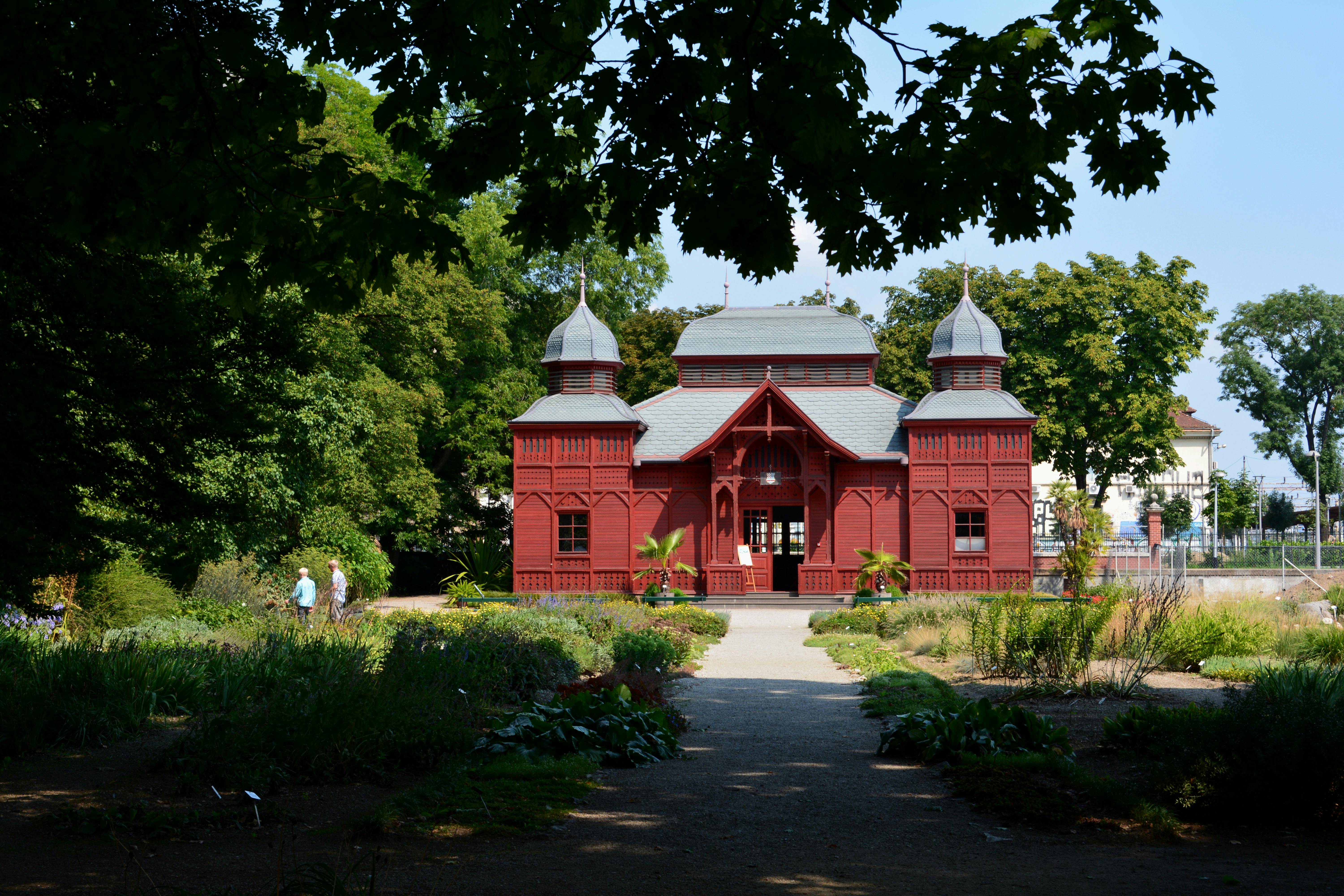 Kostenloses Foto Zum Thema Botanicki Vrt Botanischer Garten