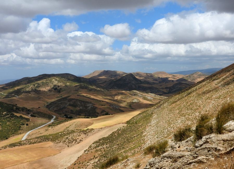 Quel budget faut-il pour partir vivre en Algérie ?