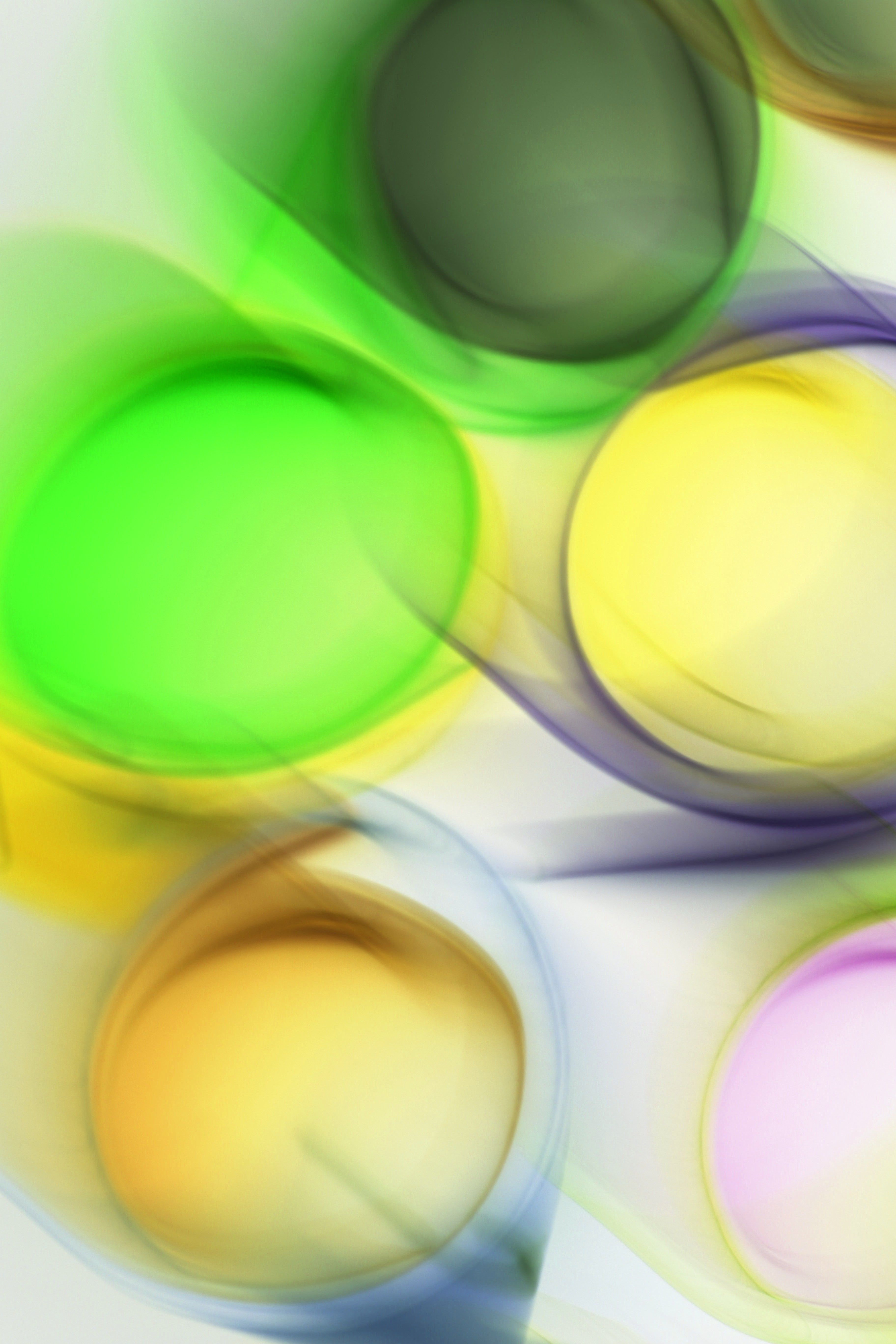 Vibrant abstract art featuring colorful circular patterns with a dynamic blur effect.