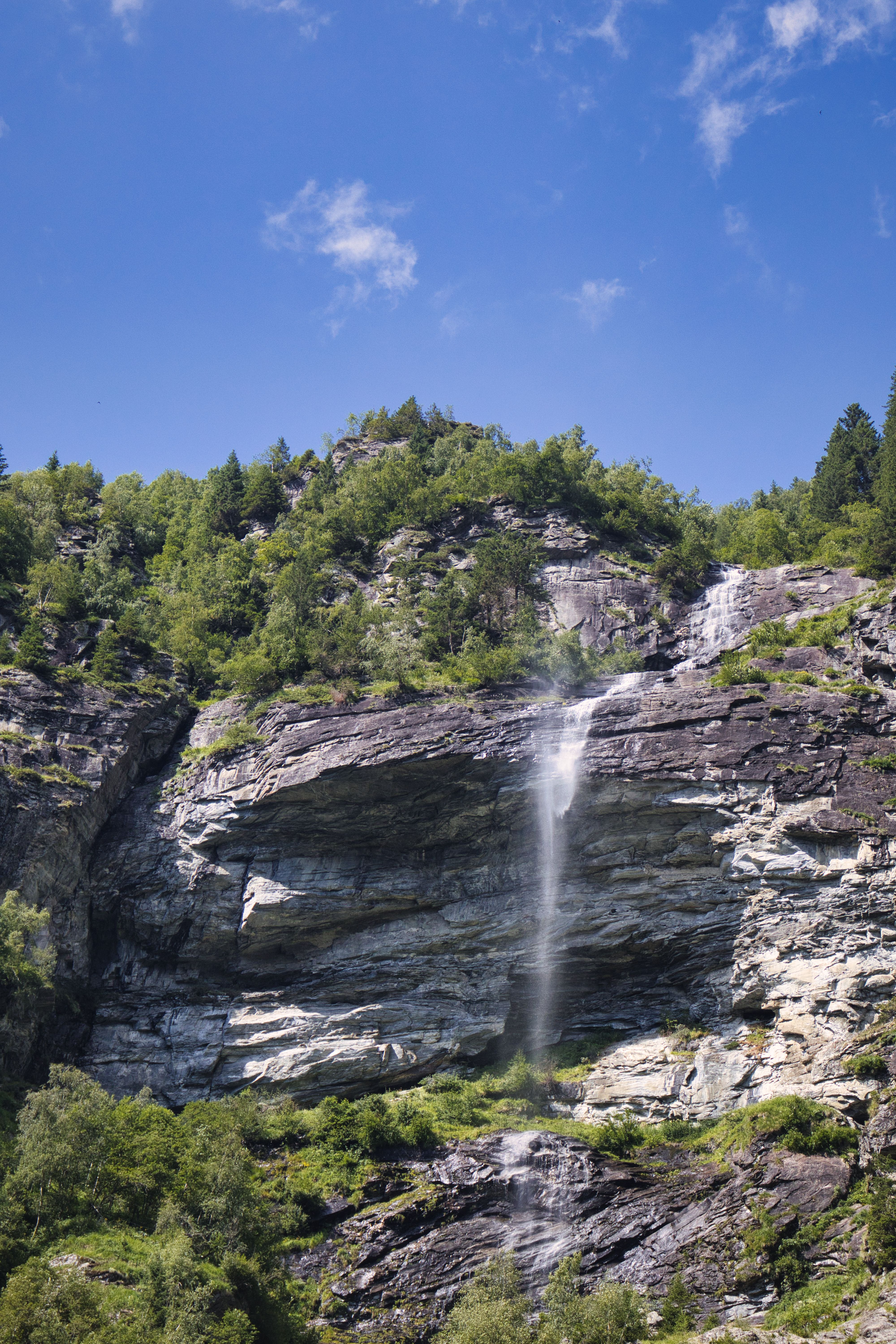 Photo of a Waterfall Between Trees · Free Stock Photo