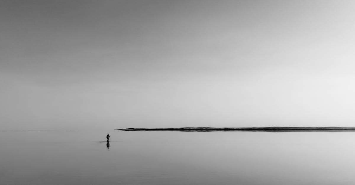 Photos De Studio Professionnelles D'Automobiles