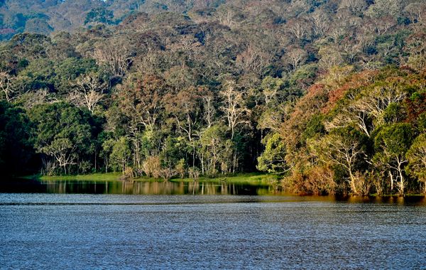 Kerala Tour 6 Night & 7 Days - Transfers