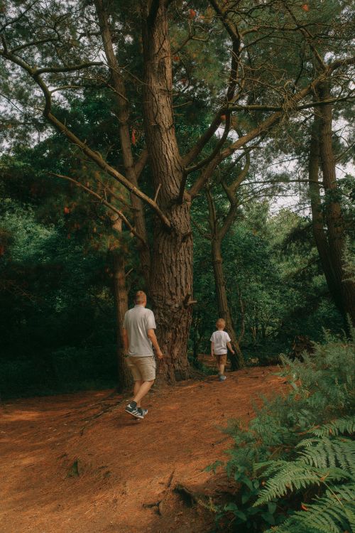Two people walking on a dirt path in the woods · Free Stock Photo