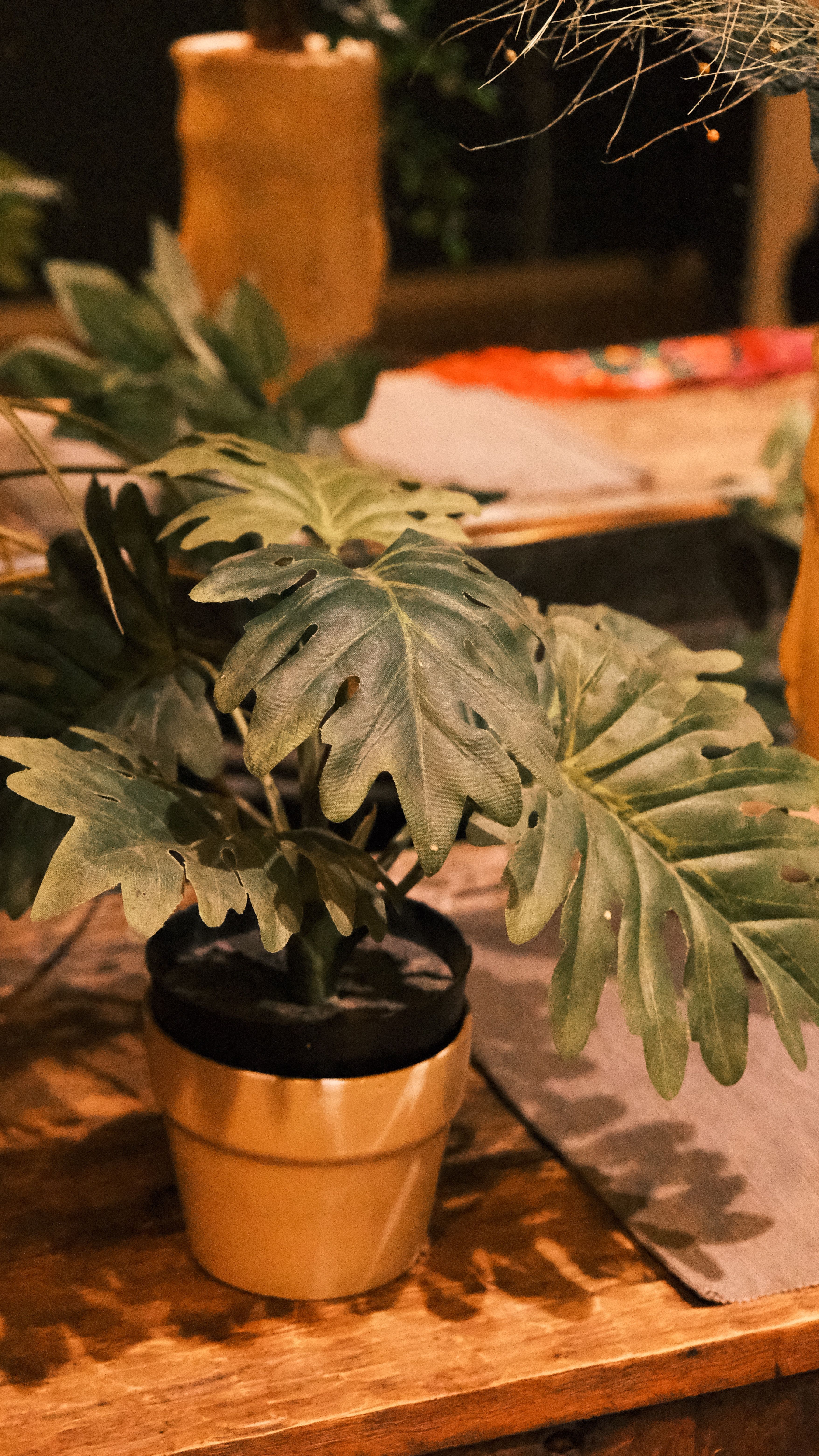 Fotomural Una planta de interior verde y exuberante en una maceta decorativa sobre una mesa de madera, perfecta para la decoración interior.