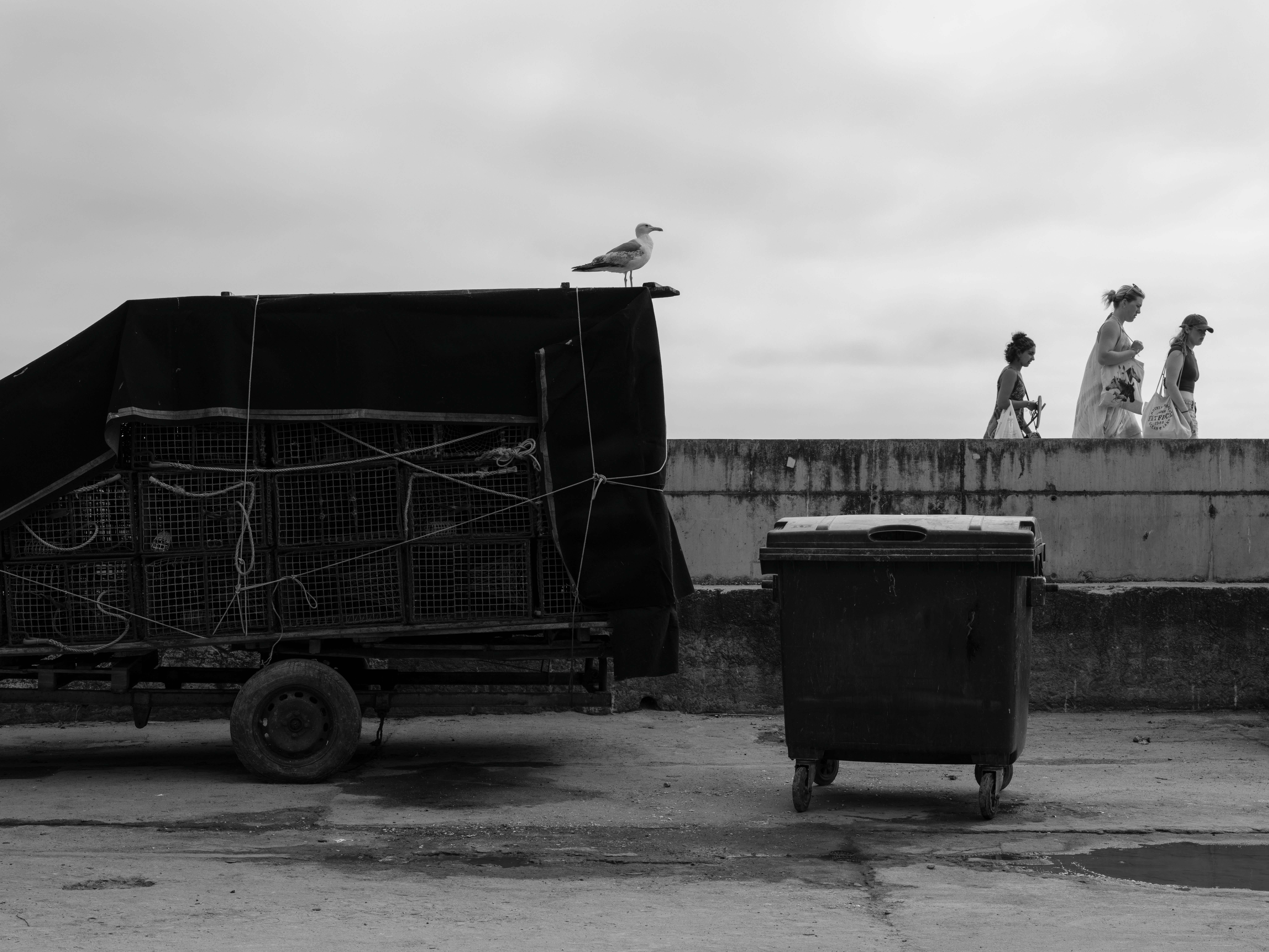Millom — house clearance team loading furniture into a van