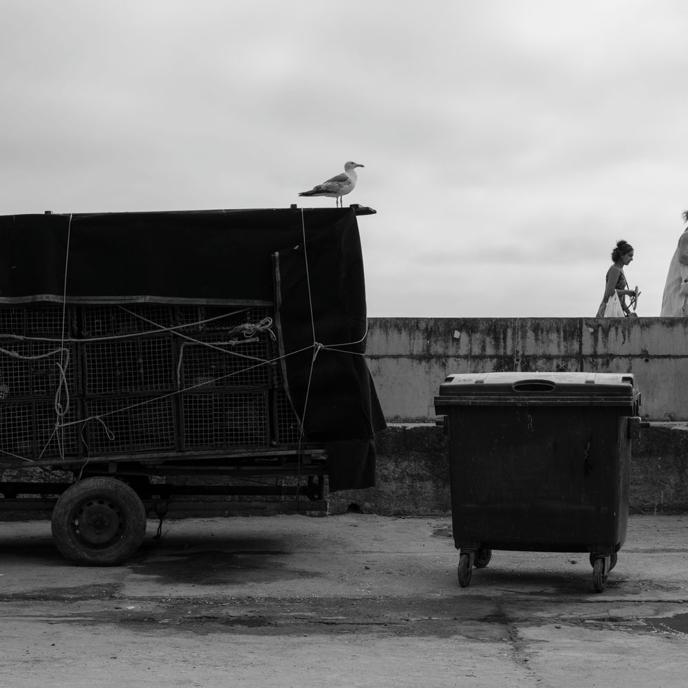 Millom — house clearance team loading furniture into a van
