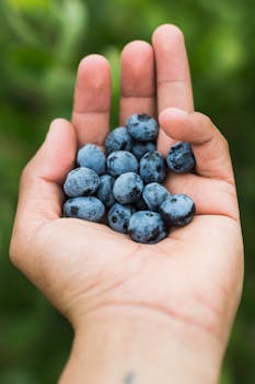 绿色户外背景下，一只手拿着新鲜蓝莓的特写镜头