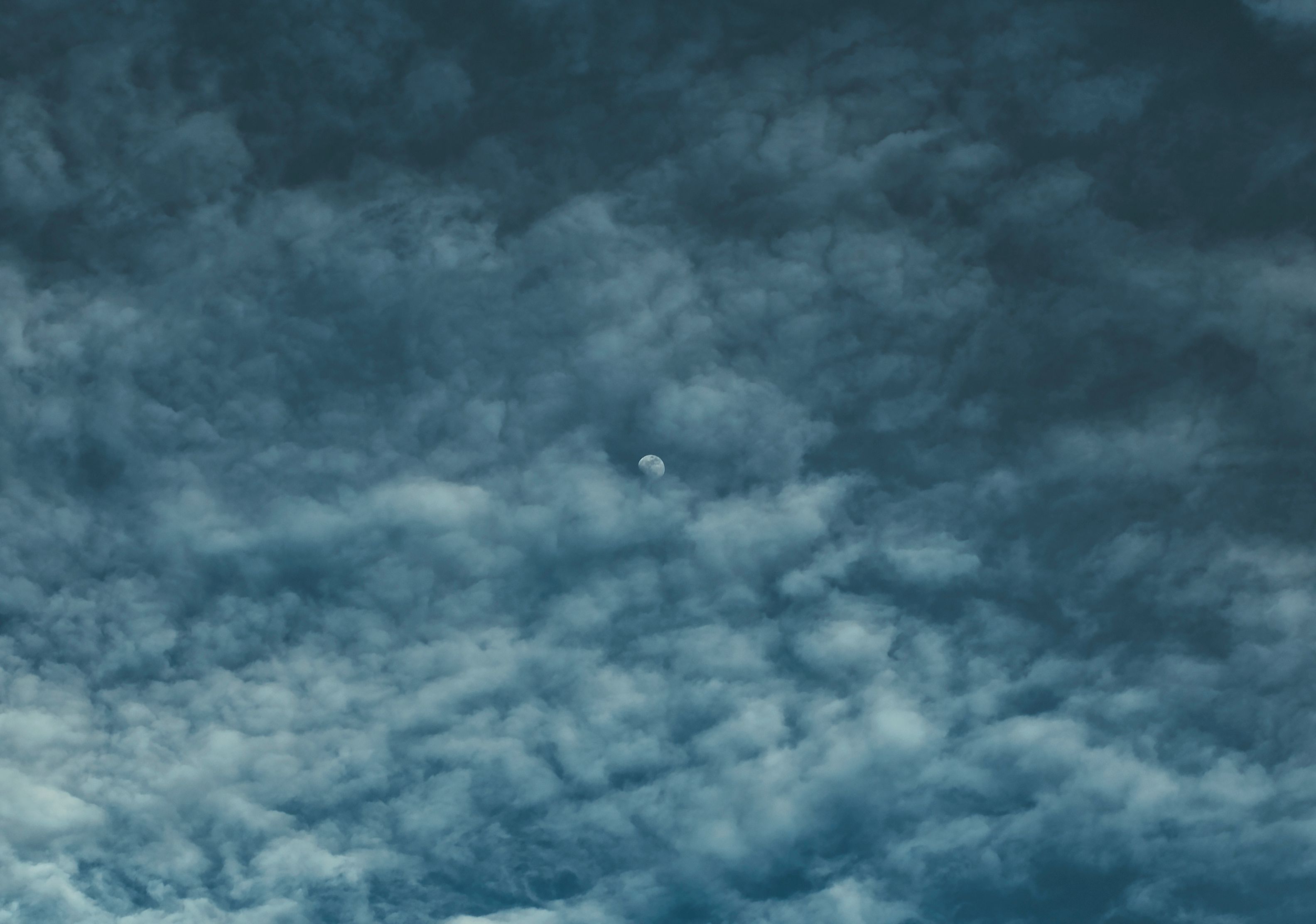 floting · Free Stock Photo