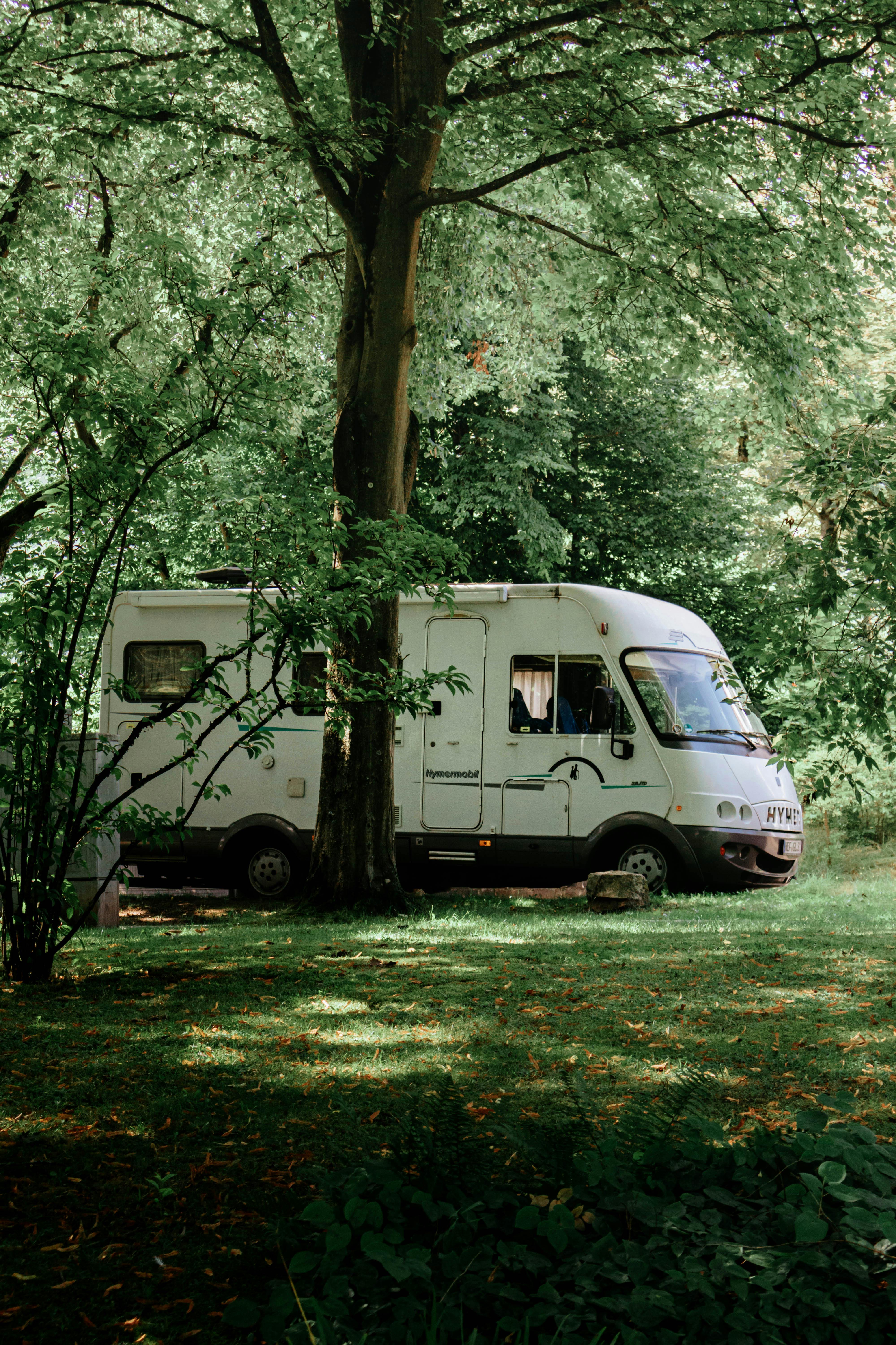 a camper van parked in the woods near a tree