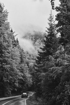Majestic winding road through a misty forest with distant mountains in the background.
