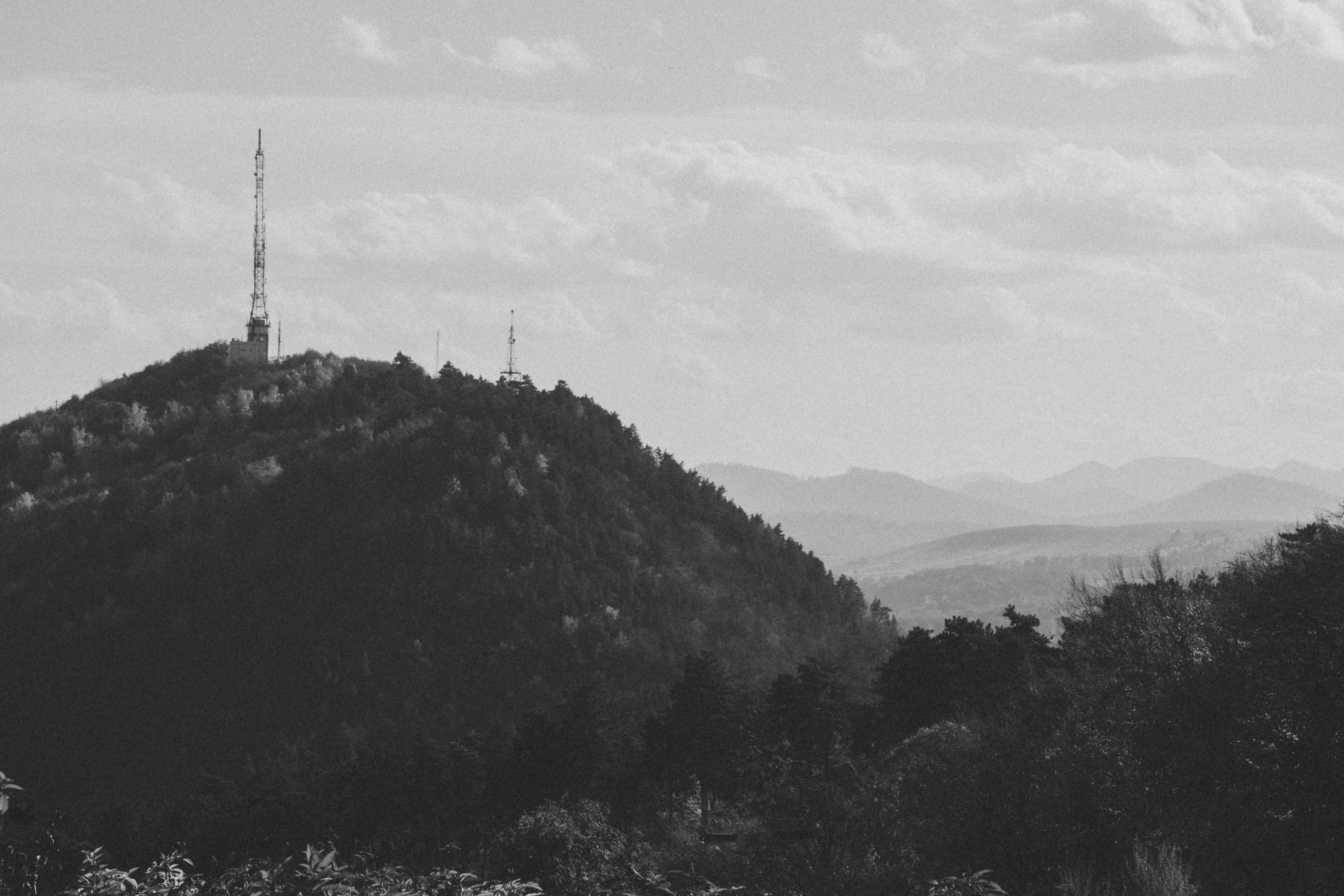 Forest walk to Kopitoto TV tower