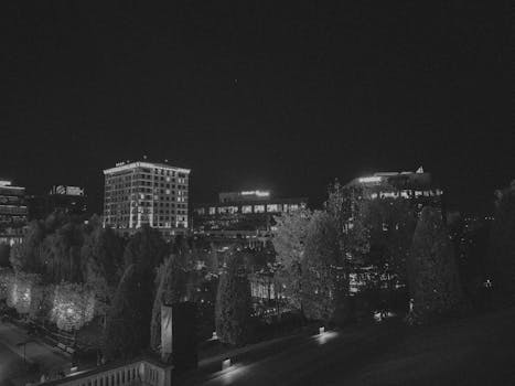 Black and white photo of a cityscape at night with illuminated buildings and trees.