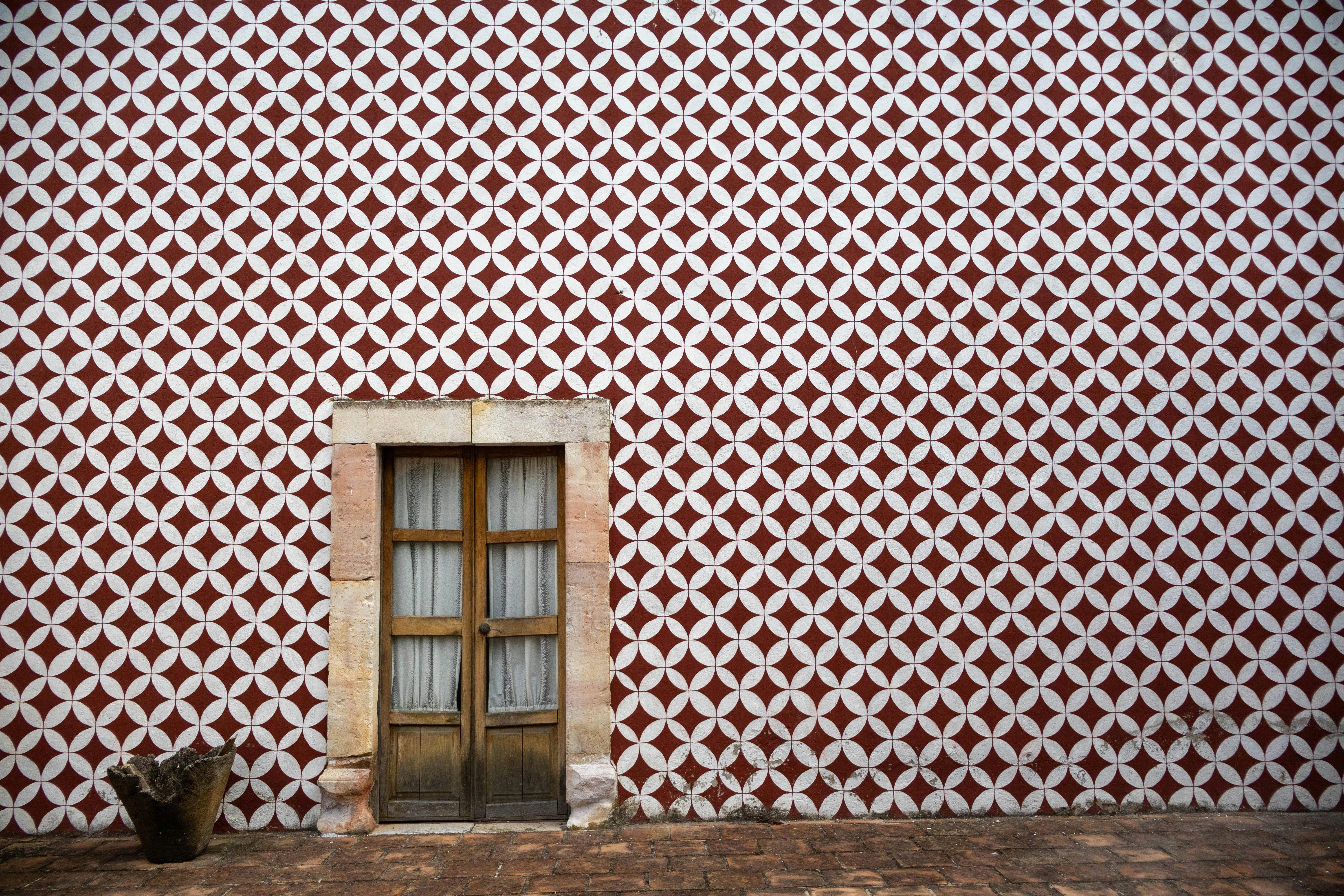Red and white geometric patterned wall with a rustic wooden door and plant pot.