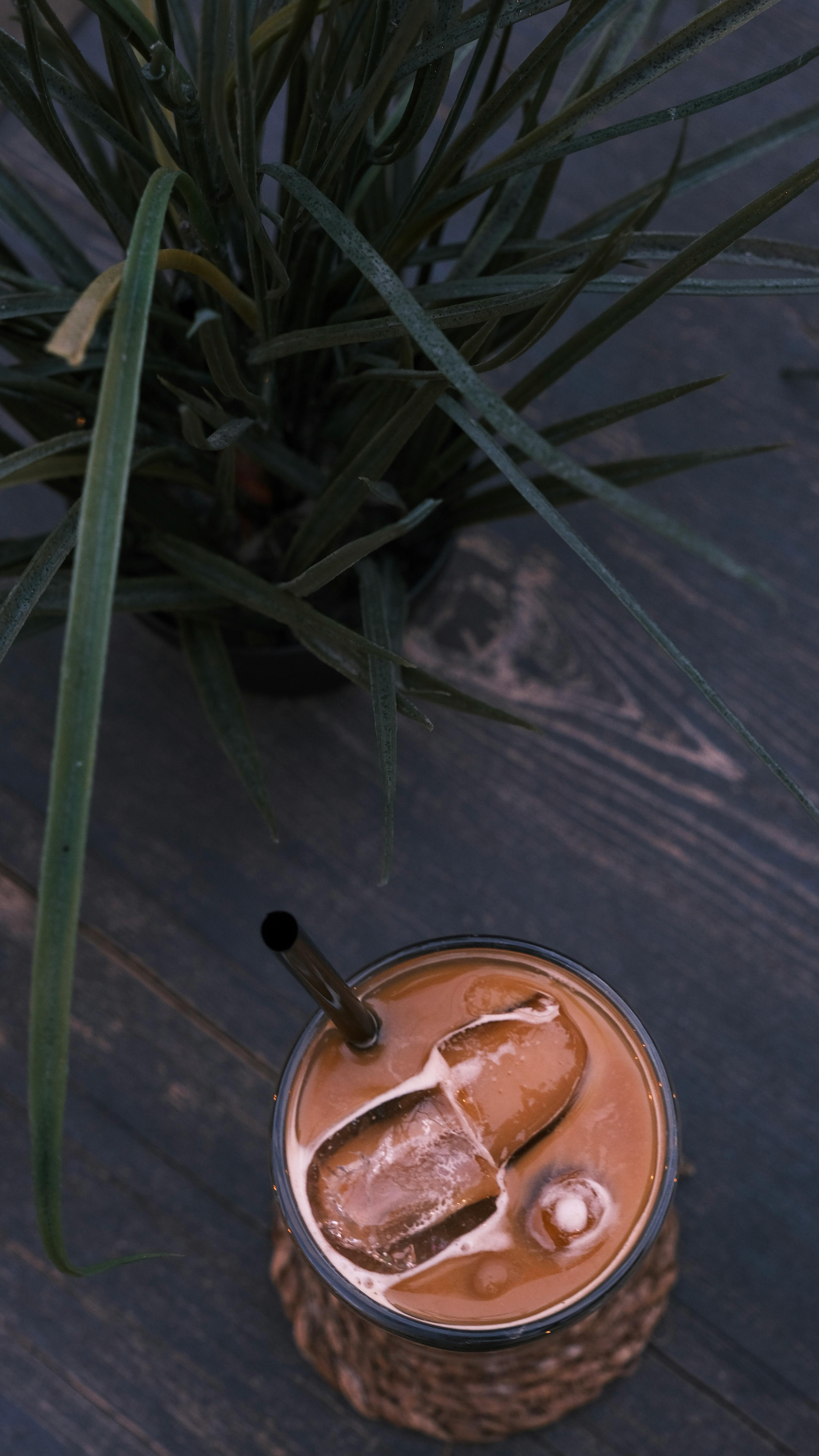 De franc Foto d'estoc gratuïta de beguda, beguda d'estiu, beguda freda Foto d'estoc