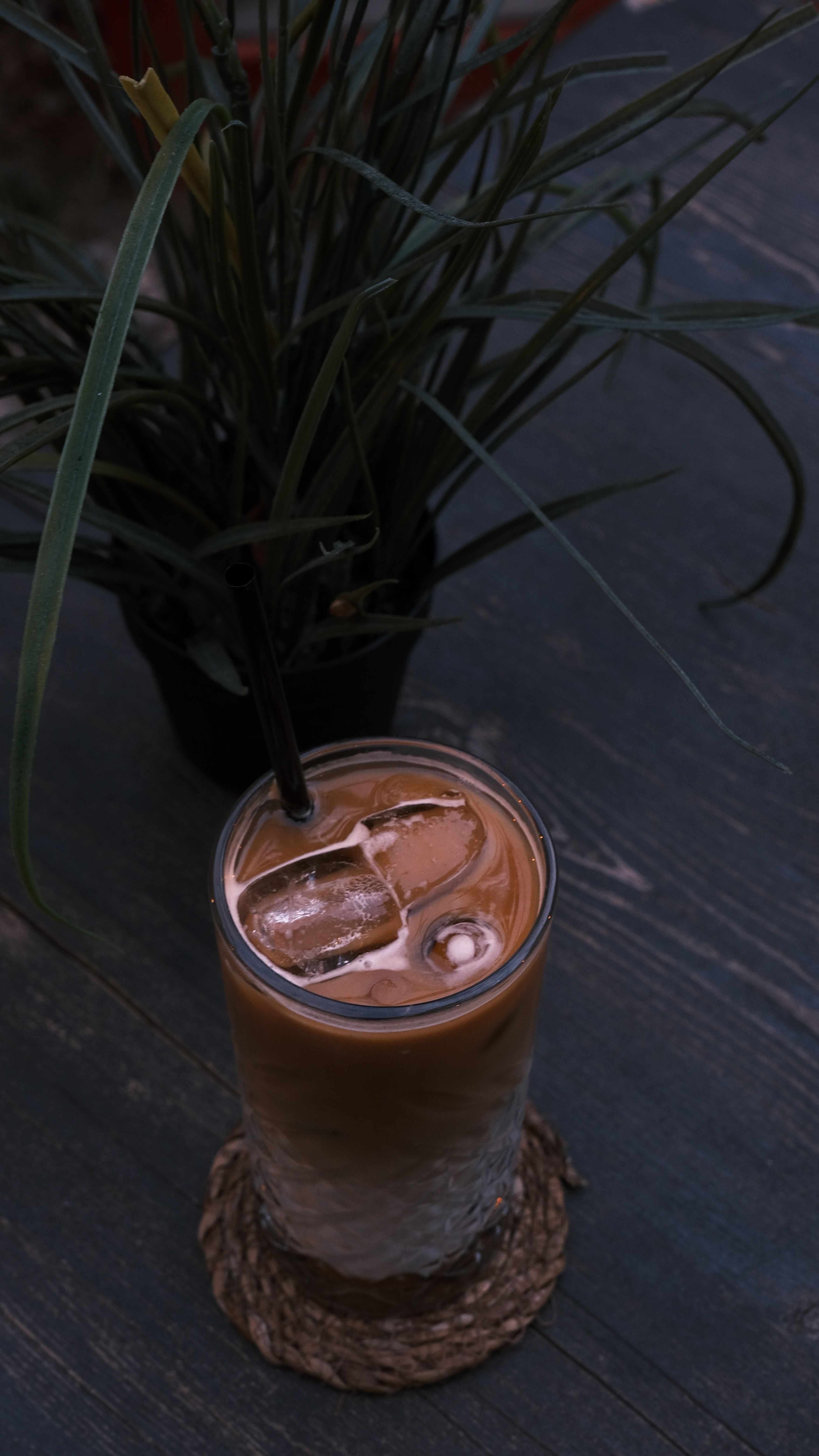 Chilled coffee drink with ice cubes on a wooden table beside a plant.