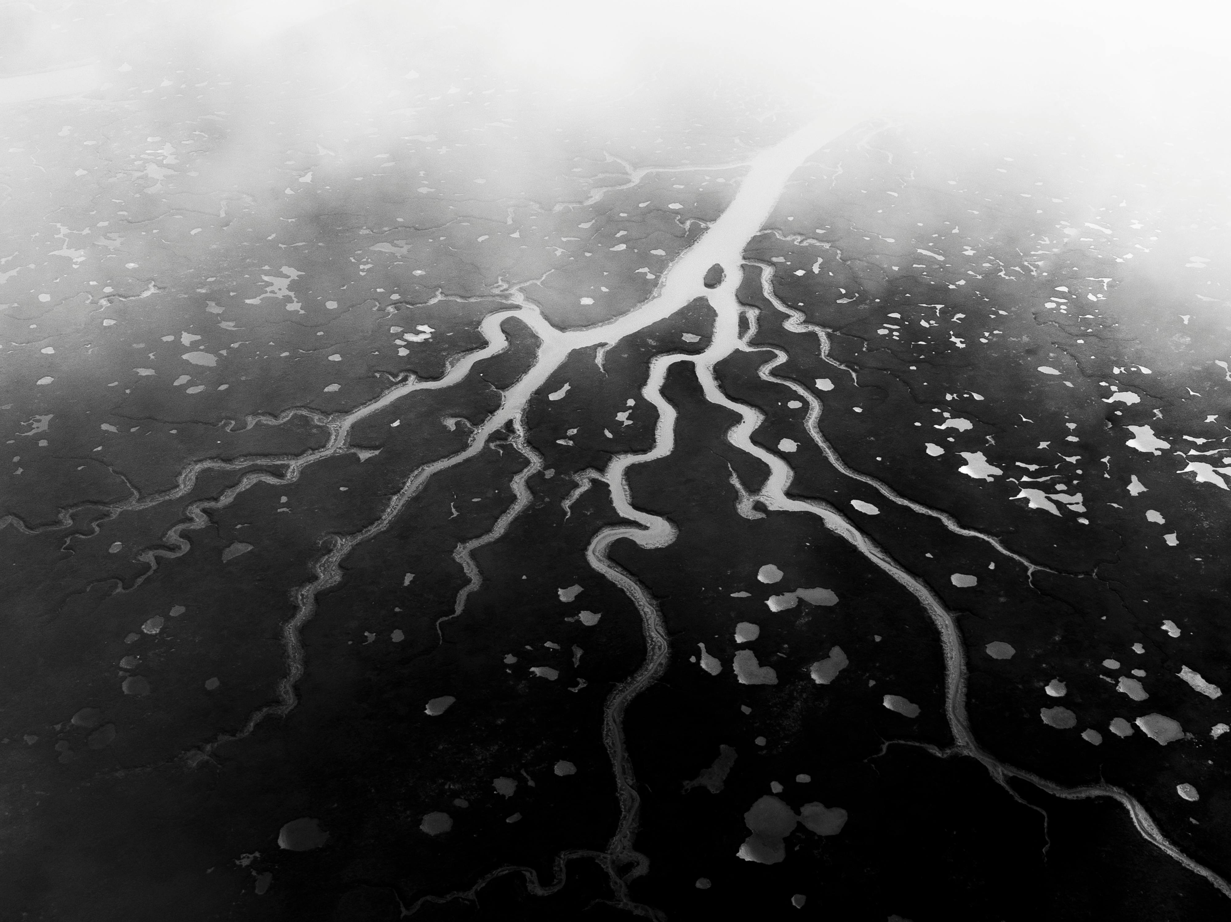 a black and white photo of a river with a tree in the middle