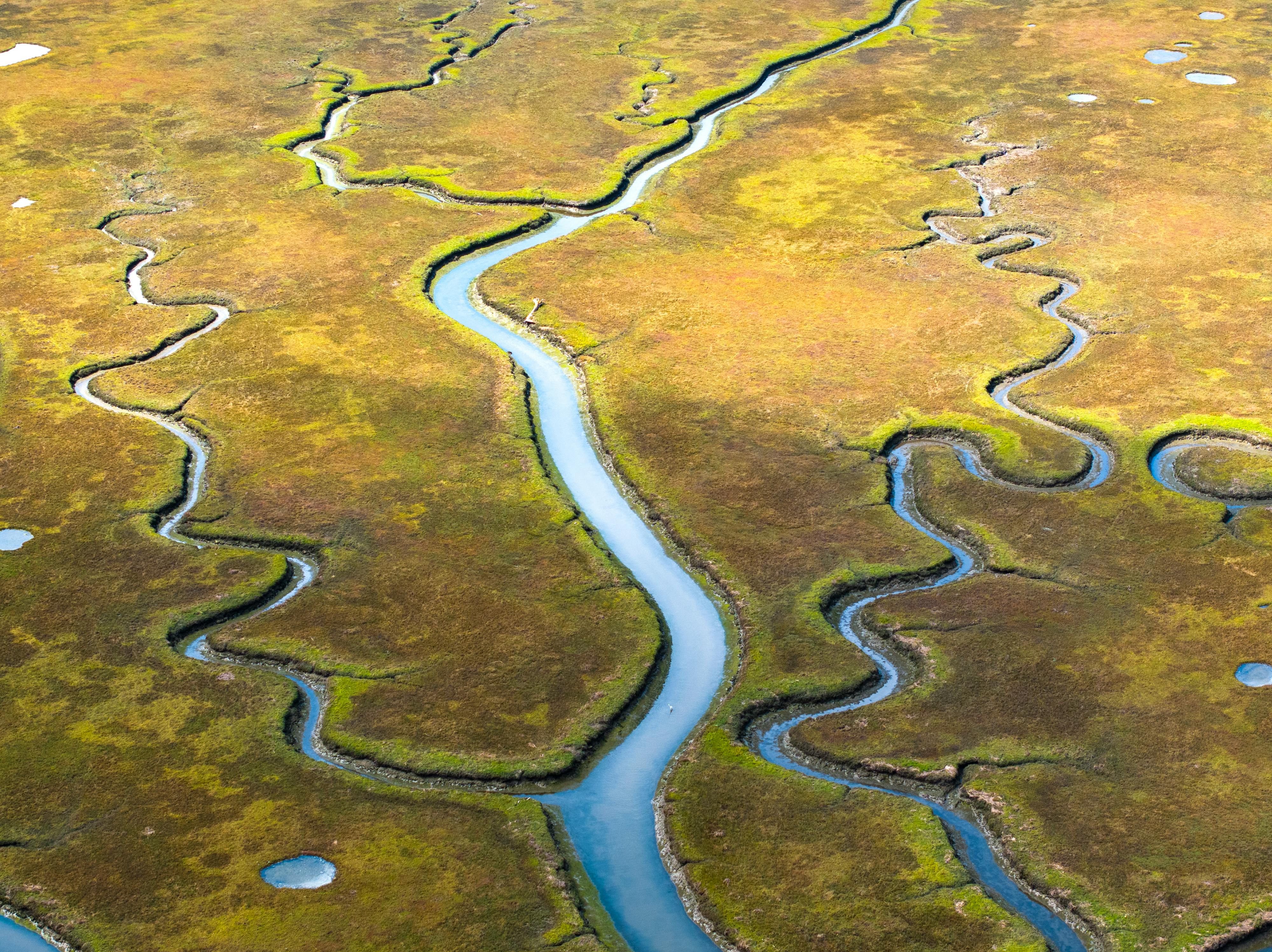 시흥 갯골 생태공원 Highly detailed aerial shot of winding estuary channels in Morro Bay salt marsh during summer.
