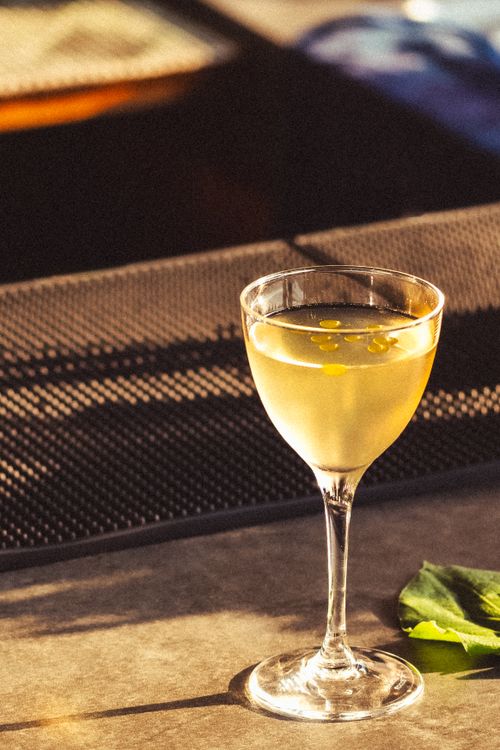 Free A refreshing mezcal cocktail served in a stylish glass at a bar in Oaxaca, Mexico. Stock Photo