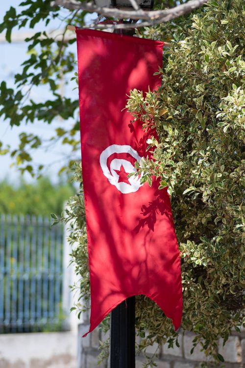 Free Tunisian flag hangs outdoors in a lush garden, capturing vibrant patriotism. Stock Photo