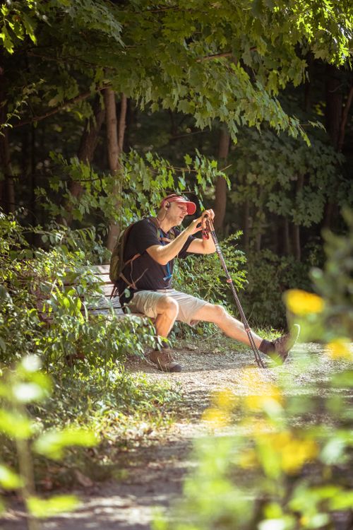 Free A man with a cap relaxes on a park bench surrounded by lush green foliage. Stock Photo