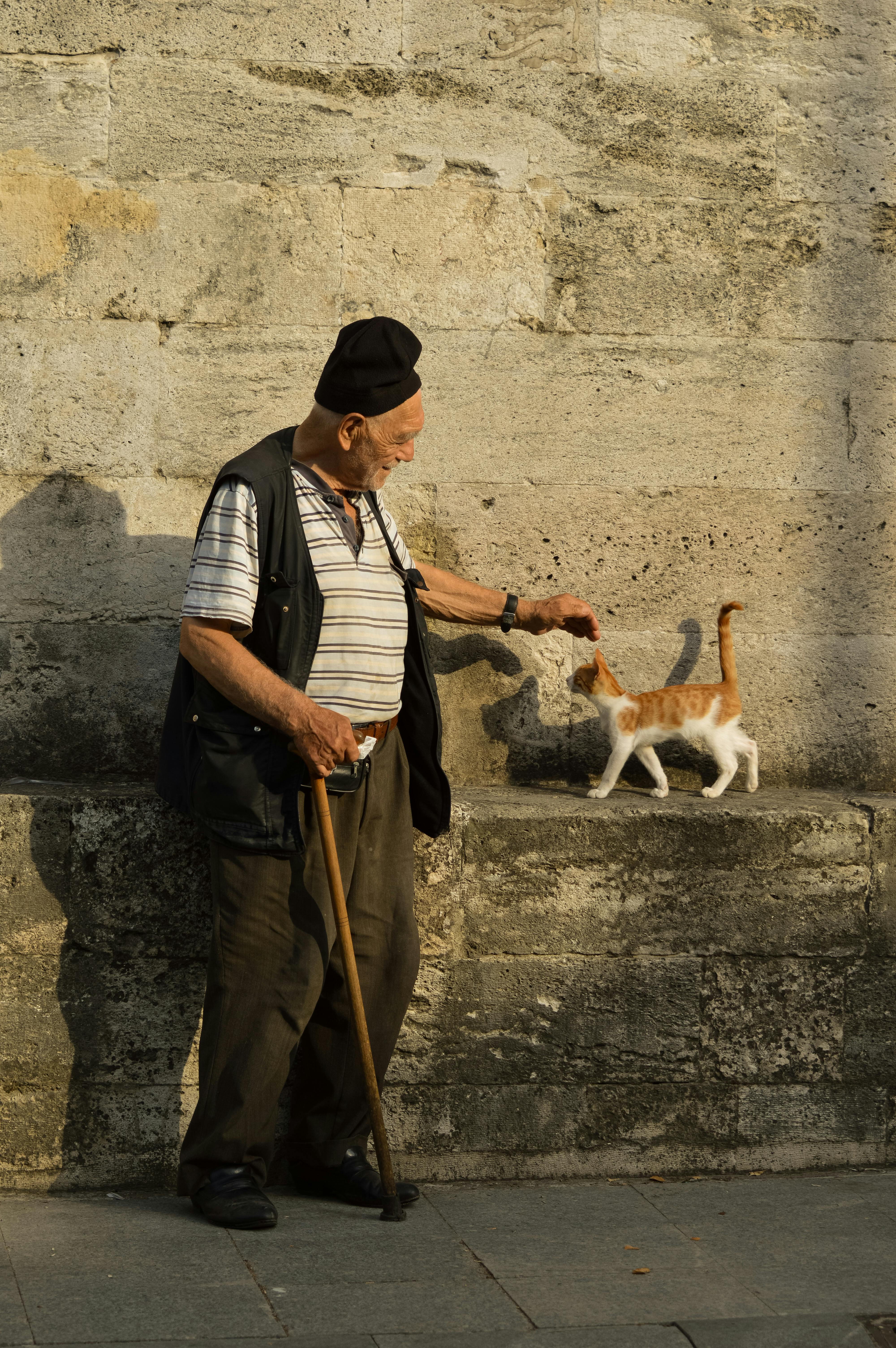 A senior man with walking stick pets a street cat against a textured wall in Istanbul.