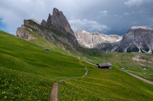 A picturesque alpine meadow with a path leading towards majestic mountains under a cloudy sky.