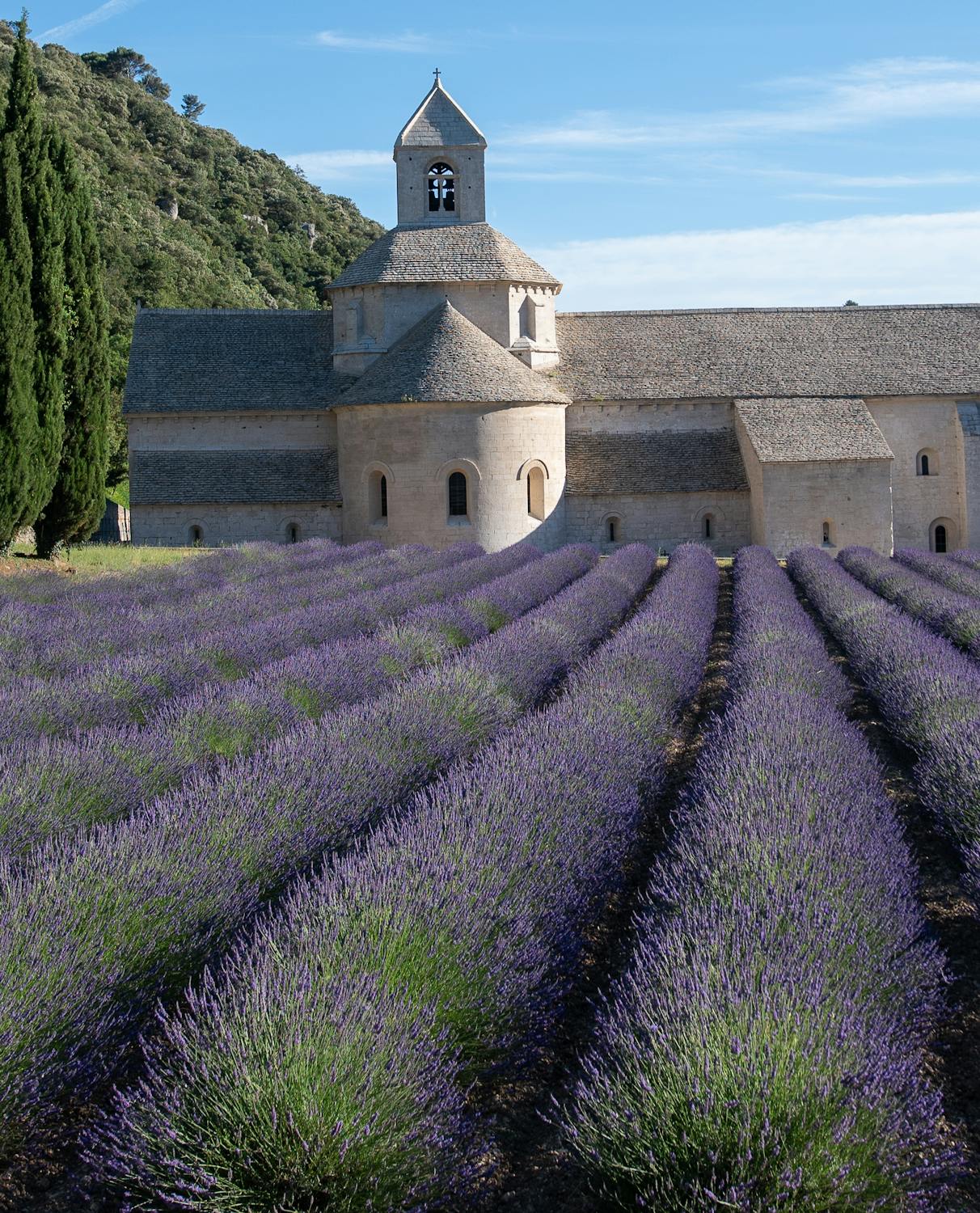 Foto profissional gratuita de abadia de senanque, agricultura, ao ar ...