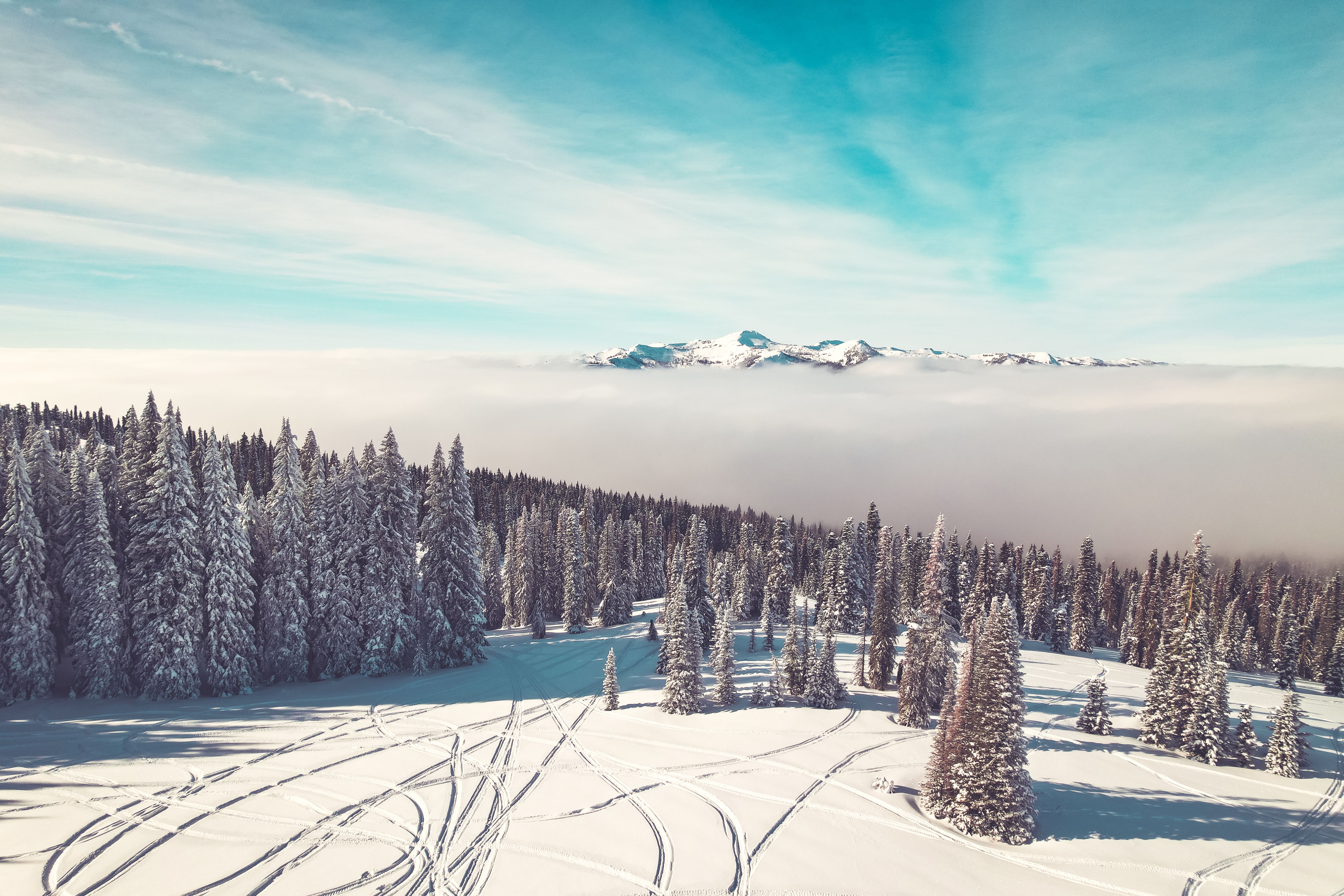 A snowy mountain with trees and snow covered ground · Free Stock Photo