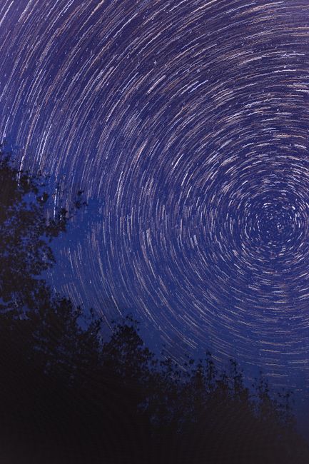 Captivating star trails spiral in a clear night sky above a forest silhouette.