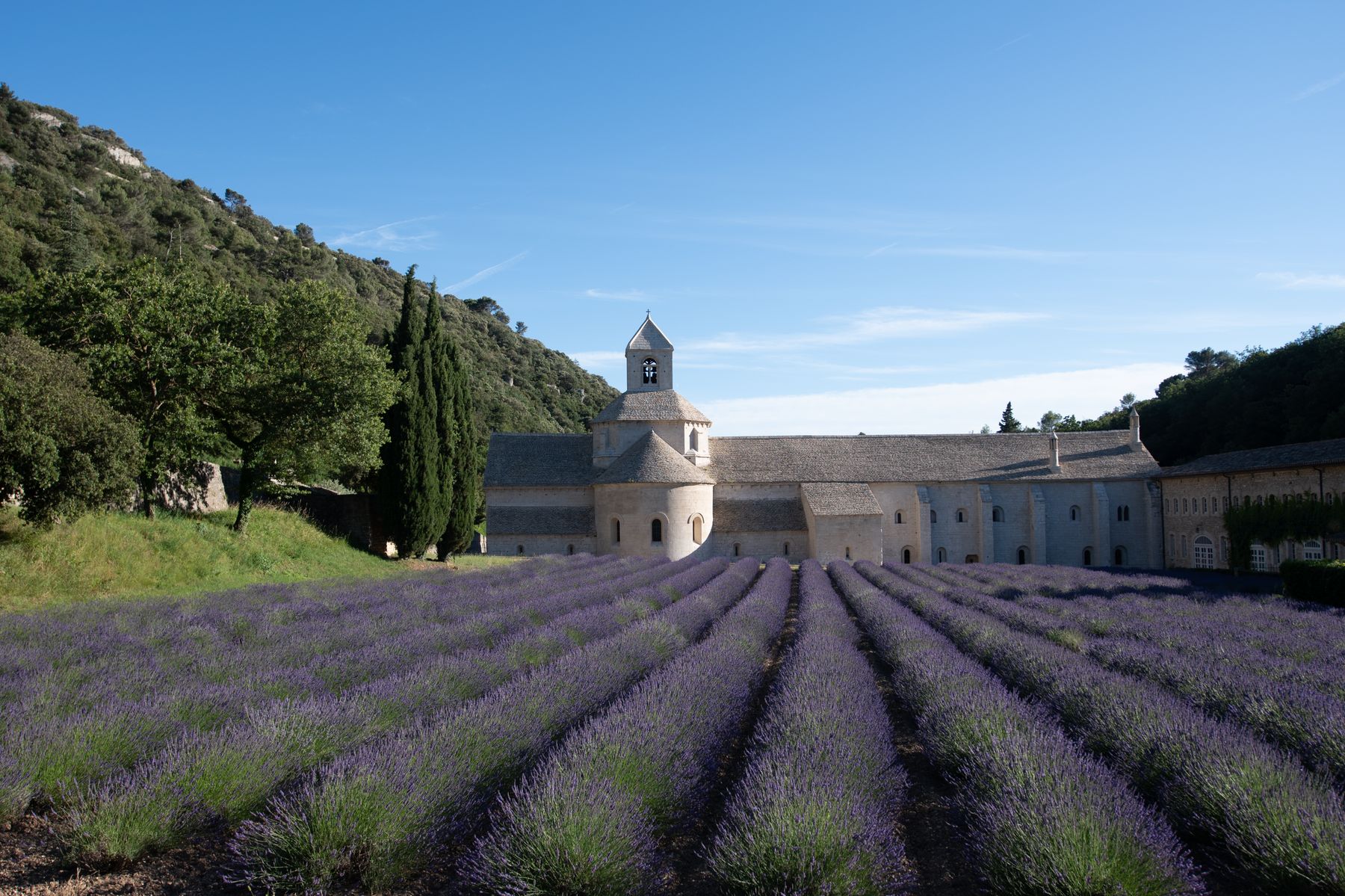Abbaye et champs de lavande en Provence