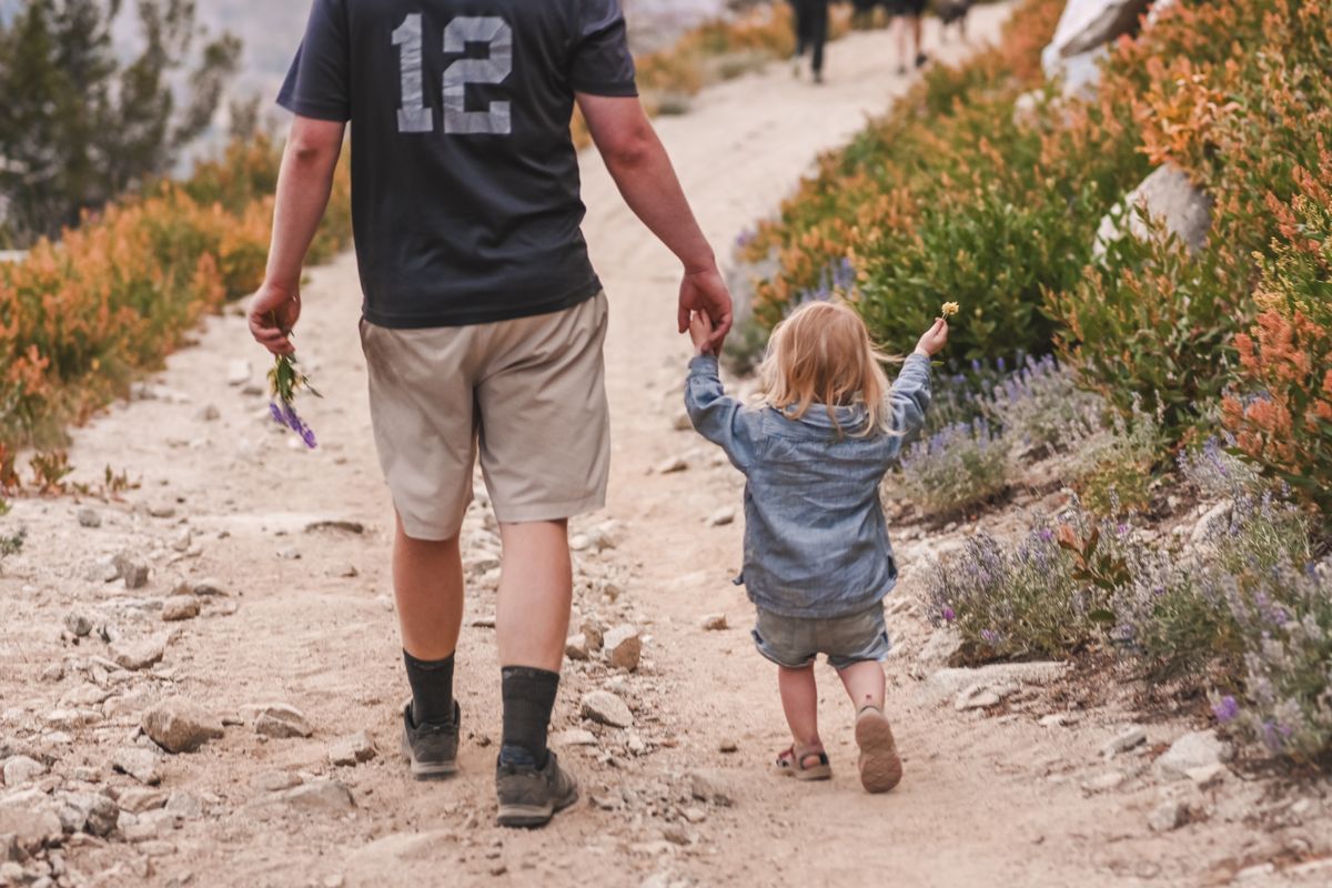 Dad and toddler walking a forest path