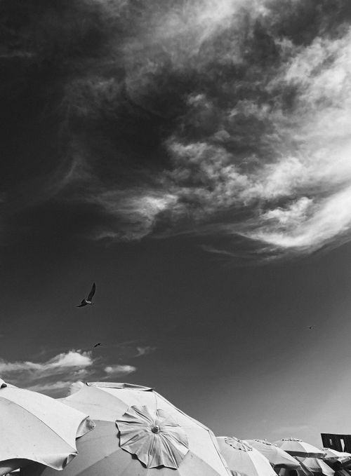 Free Black and white photo featuring umbrellas on a beach with dramatic skies. Stock Photo