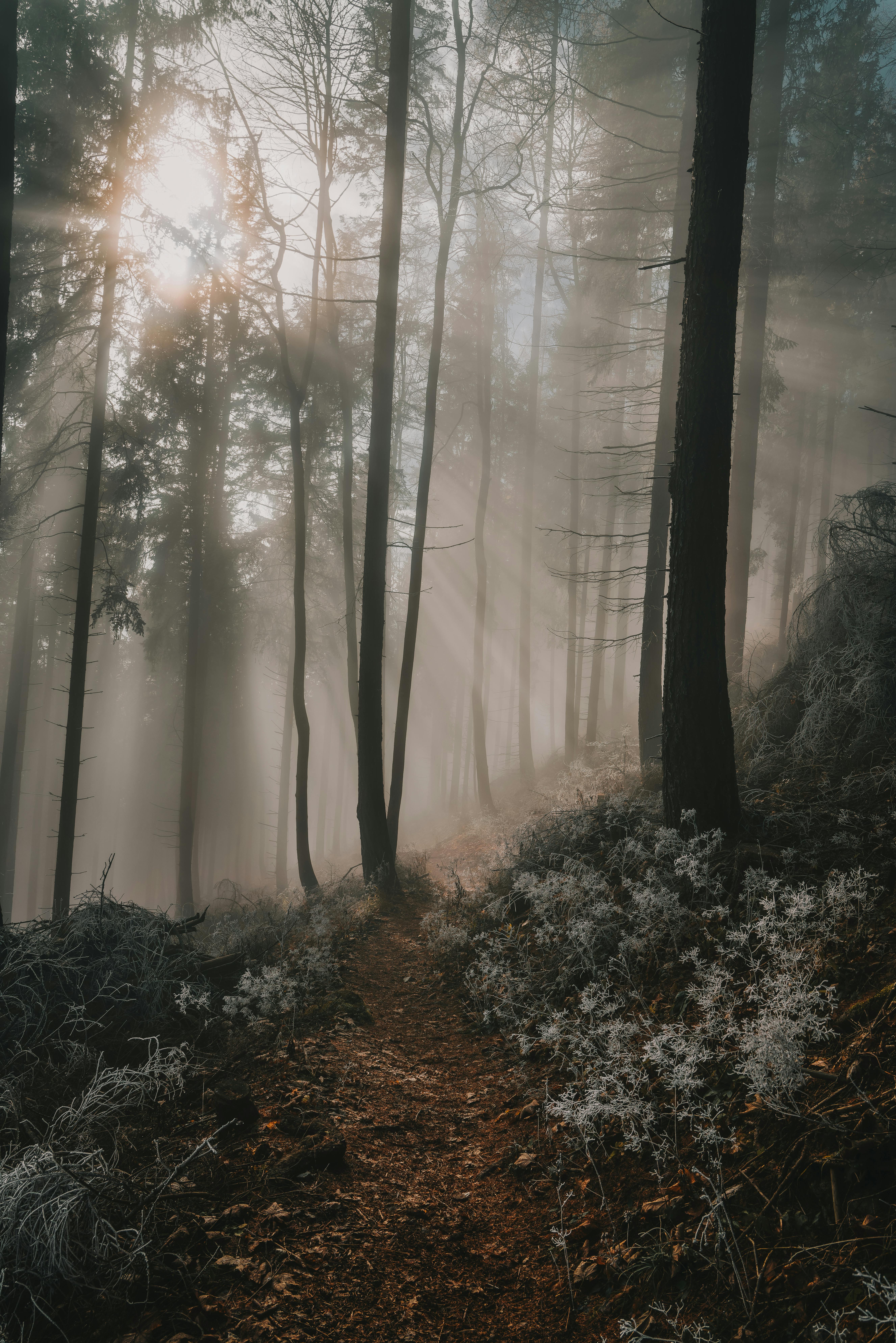 Bakırköy Mahalle Rapor Analizi: 10 Şaşırtıcı Keşif ile Bölgenin Gizli Güzelliklerini Ortaya Çıkarın