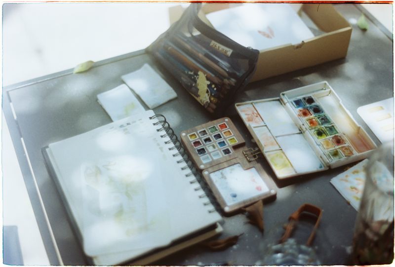 A collection of watercolour paints and brushes arranged on a sunlit table, a calm creative space
