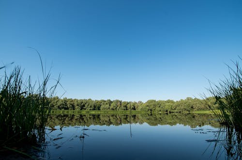 Free stock photo of lake, landscapes, russia