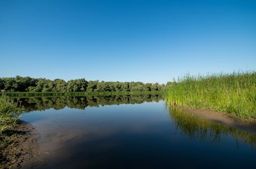 Free stock photo of lake, landscapes, russia