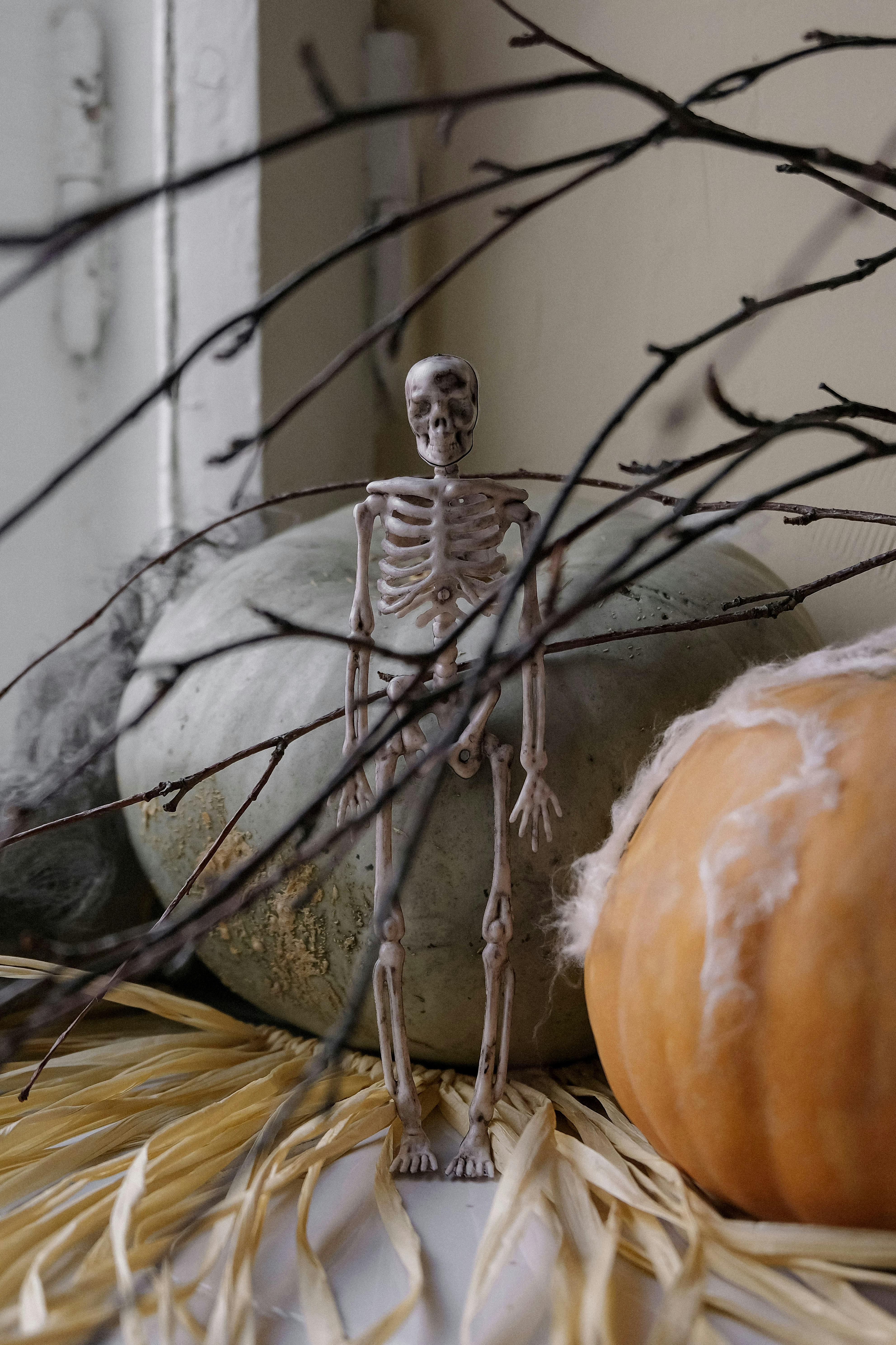 Small skeleton figure with pumpkins and branches, creating a spooky Halloween atmosphere.